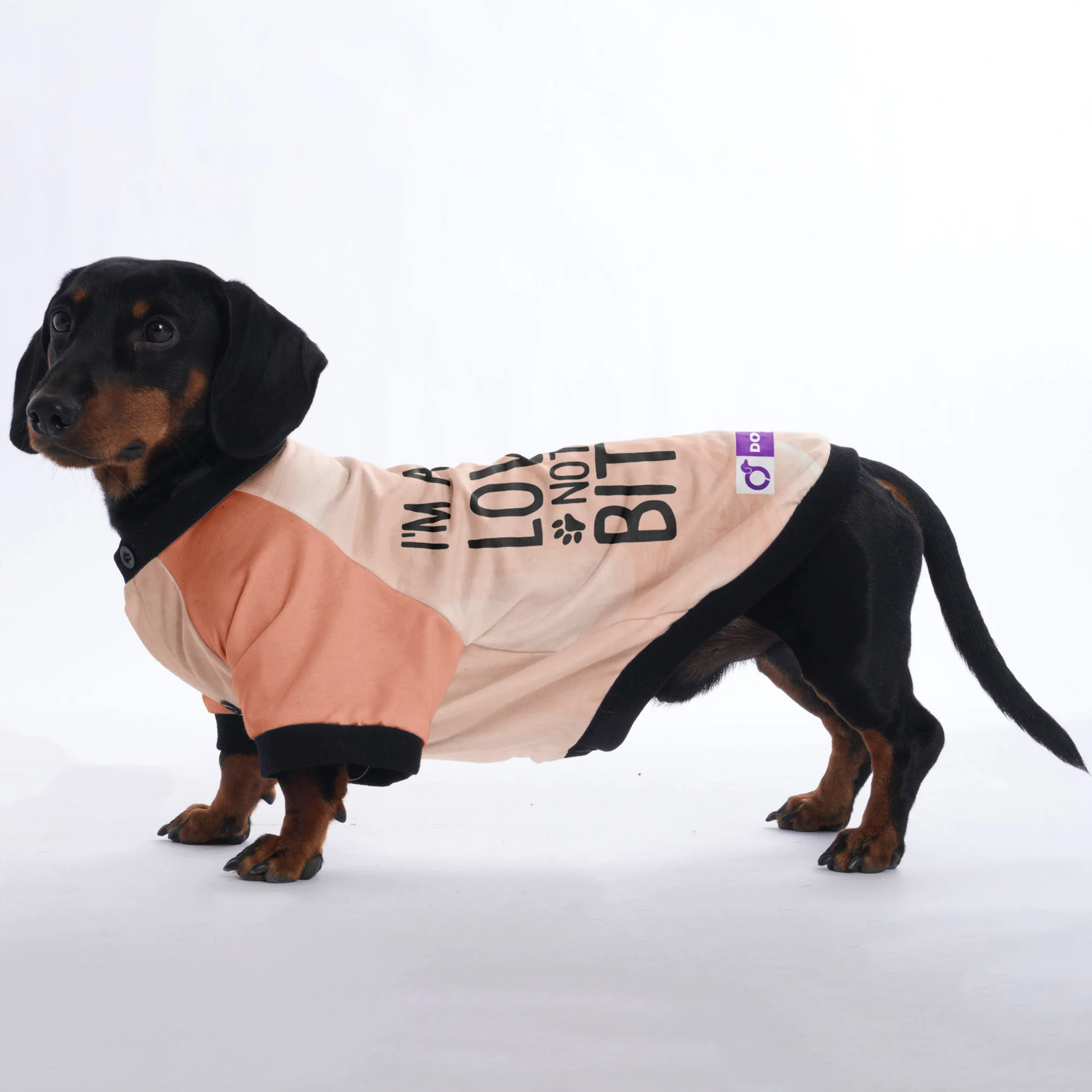 I'm a Lover Not a Biter - Jacket for Dachshunds - Image 2