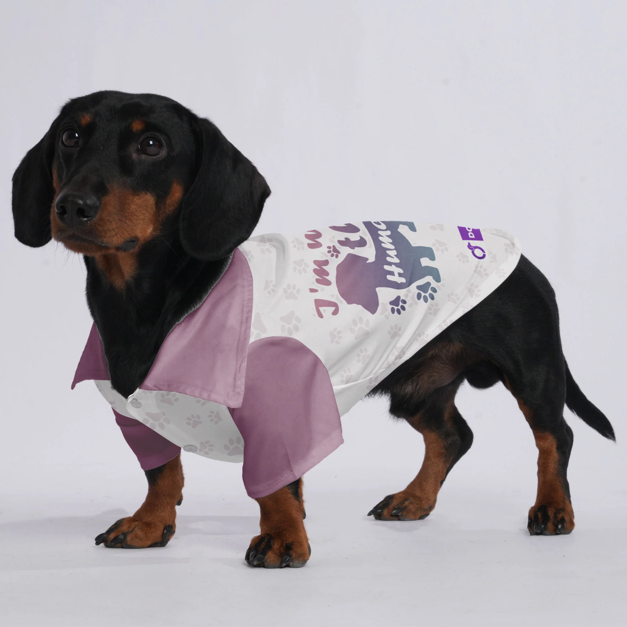 I'm with the human - Hawaiian Shirt for Doxies - Image 3