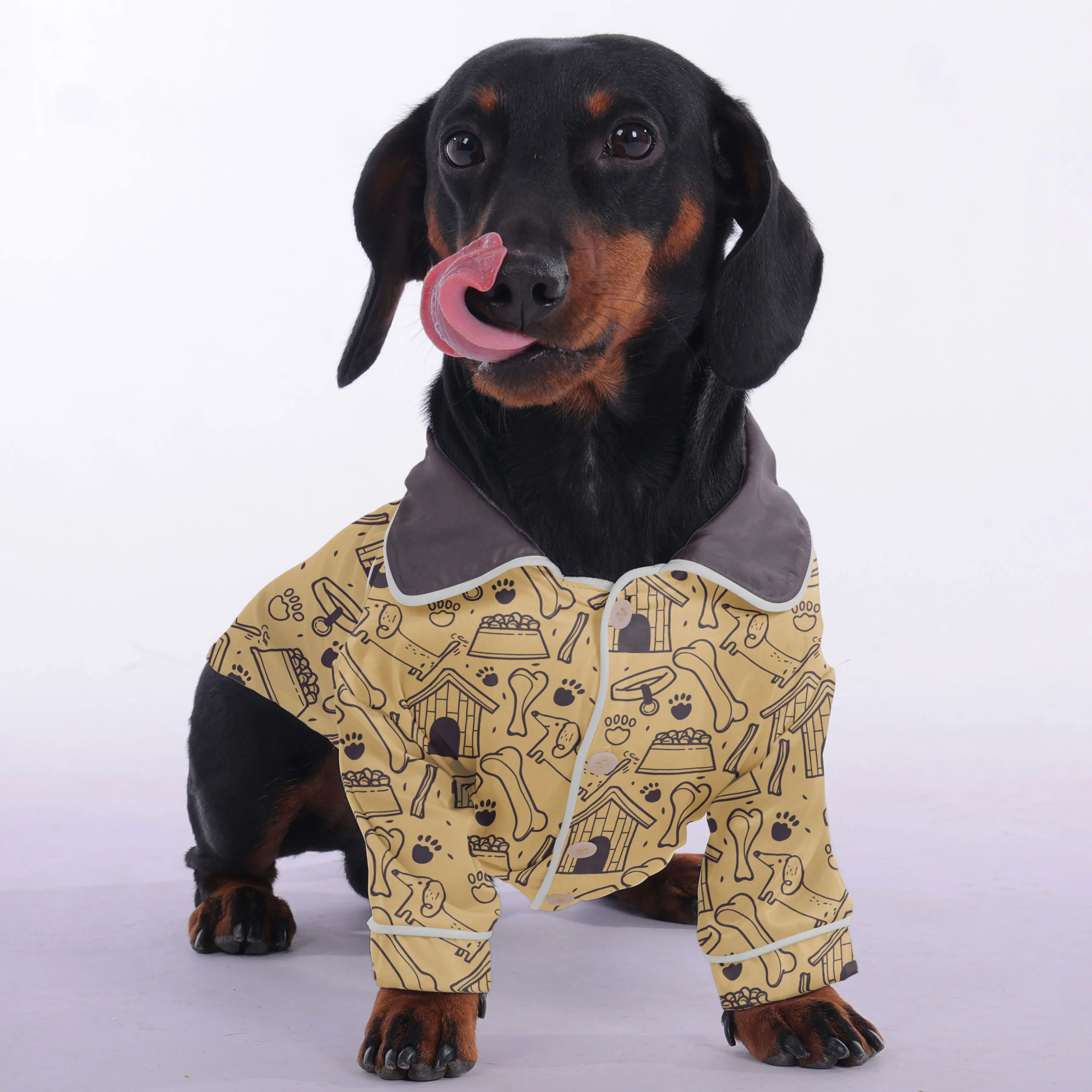 Indy - Pajamas for Dachshund