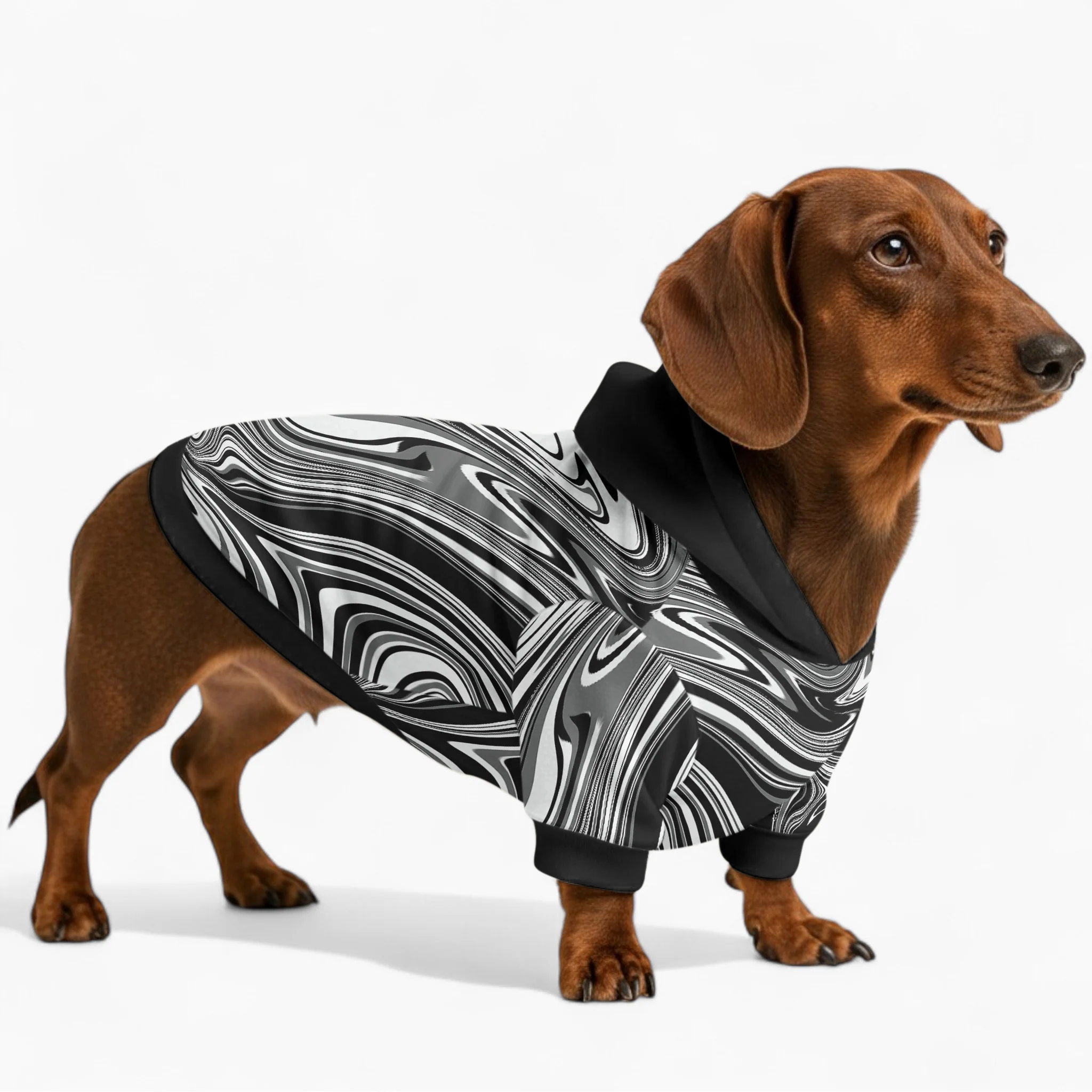 Josie - Dachshund hoodie - Image 2