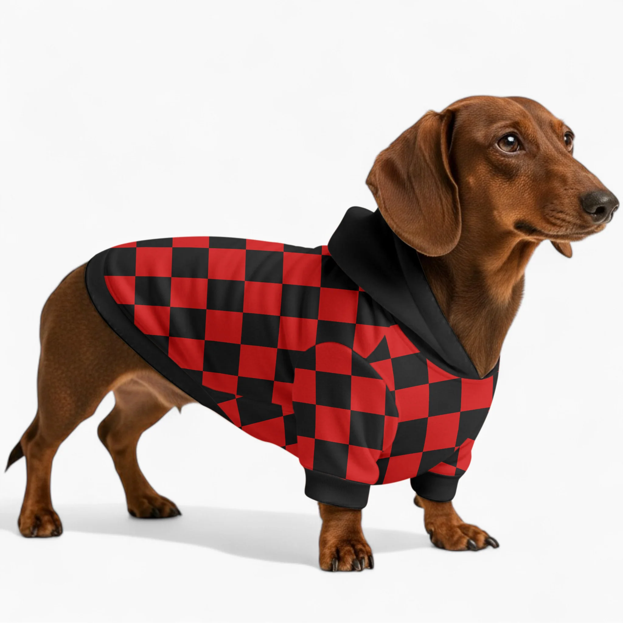 Karma - Dachshund hoodie - Image 2