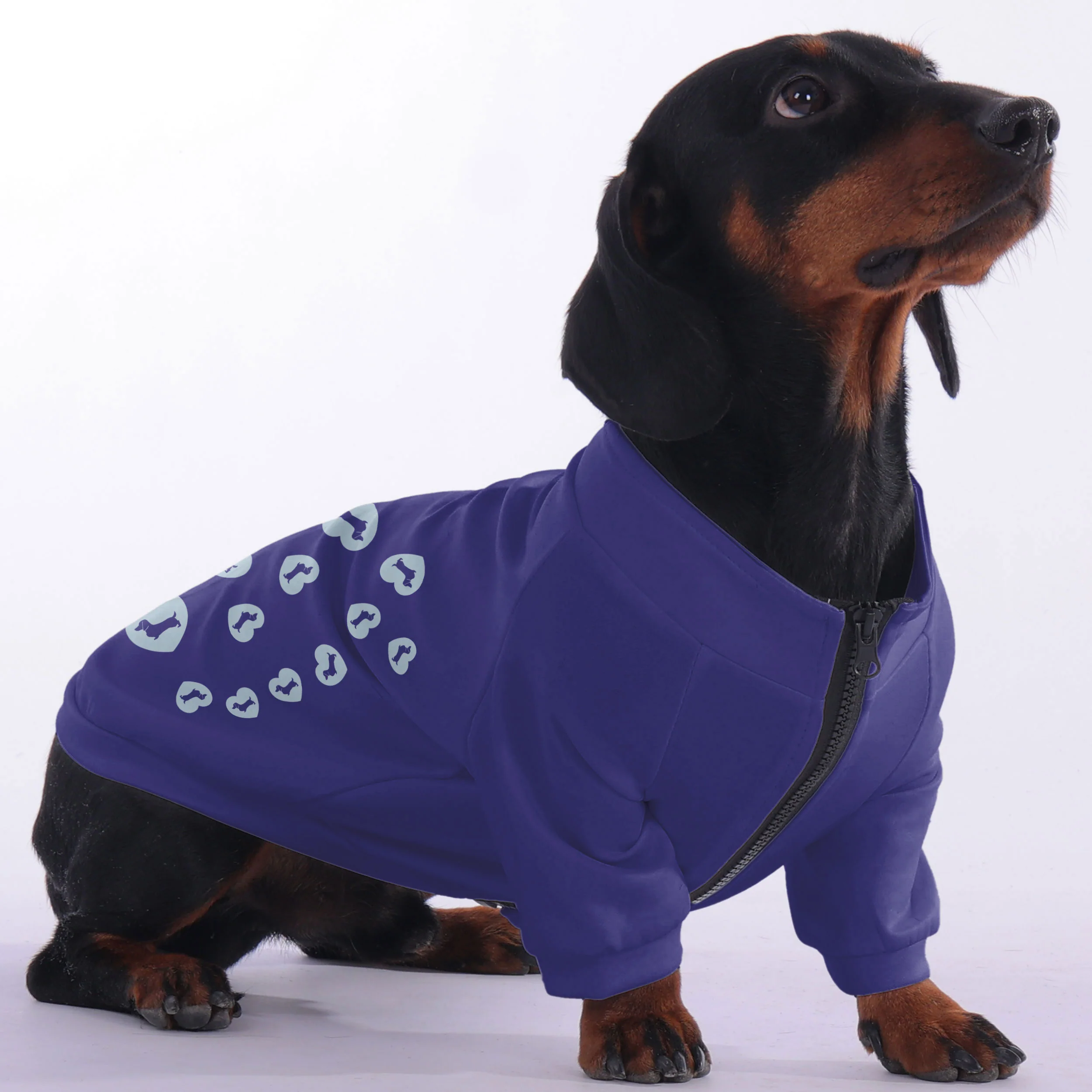 Kate - zip-up hooded sweatshirt for dachshund - Image 2