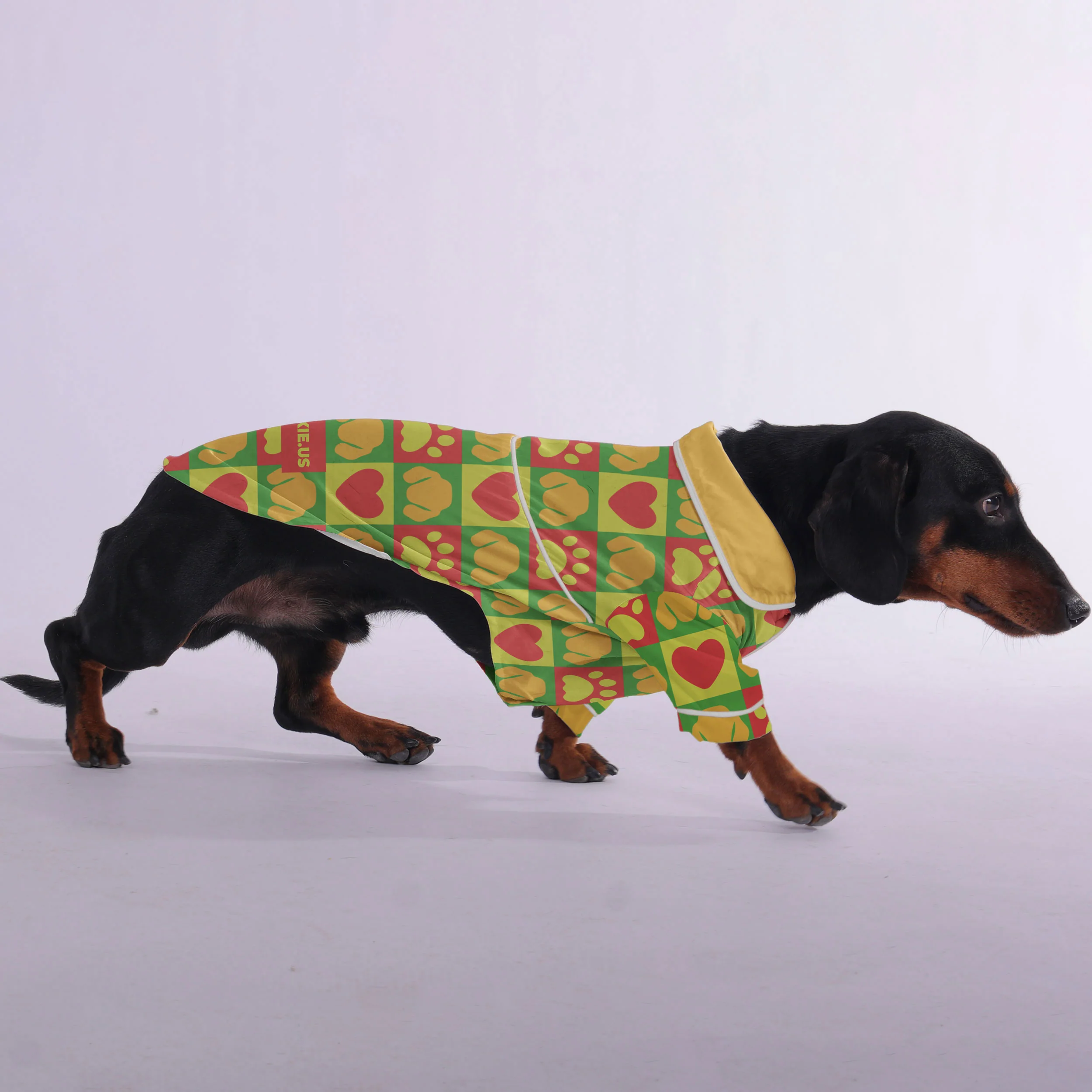 Katie - Pajamas for Dachshund - Image 3