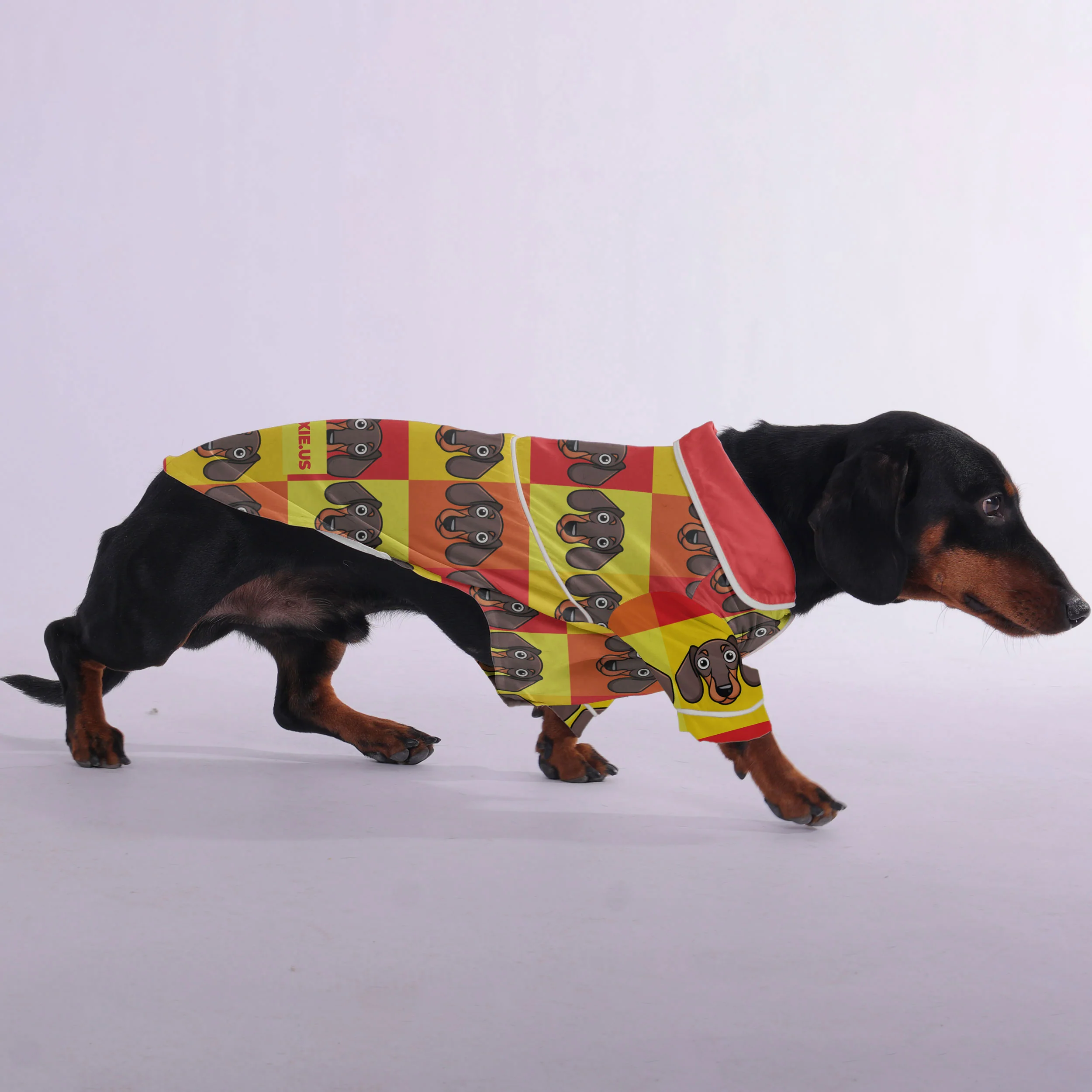 Lincoln - Pajamas for Dachshund - Image 3