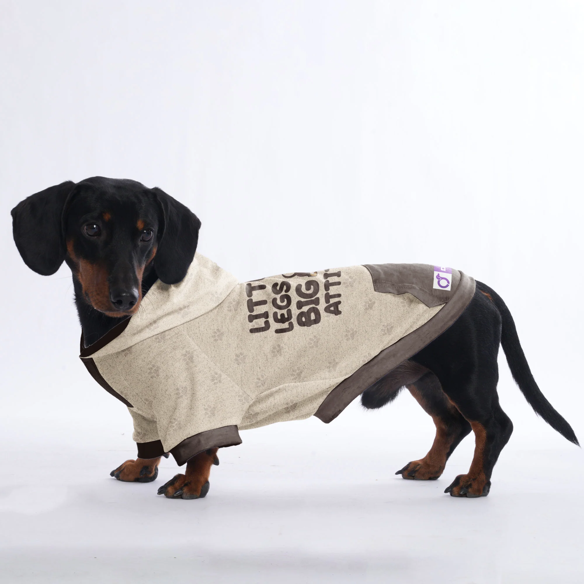 LITTLE LEGS, BIG ATTITUDE - Hoodies for Dachshunds - Image 3