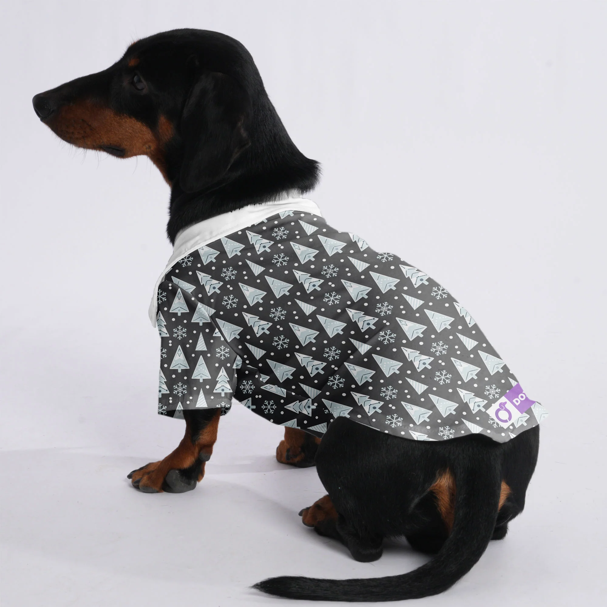 Lola - Hawaiian Shirt for Doxies - Image 3
