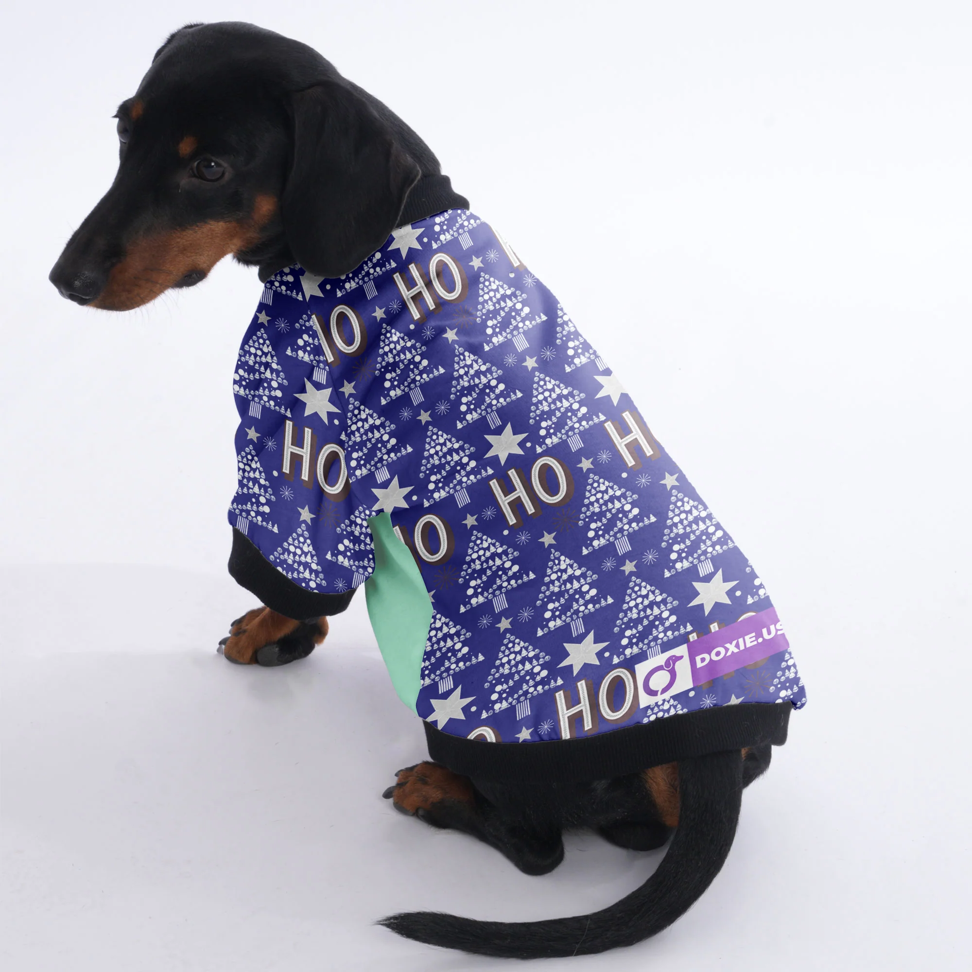 Lola - Jacket for Dachshunds - Image 3
