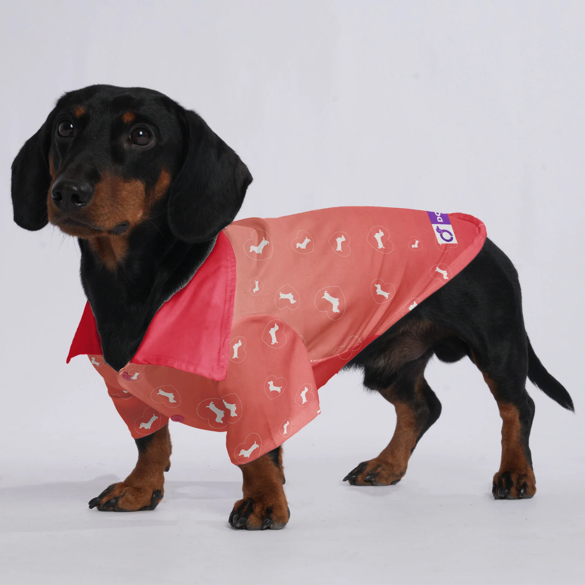 Lona - Hawaiian Shirt for Doxies