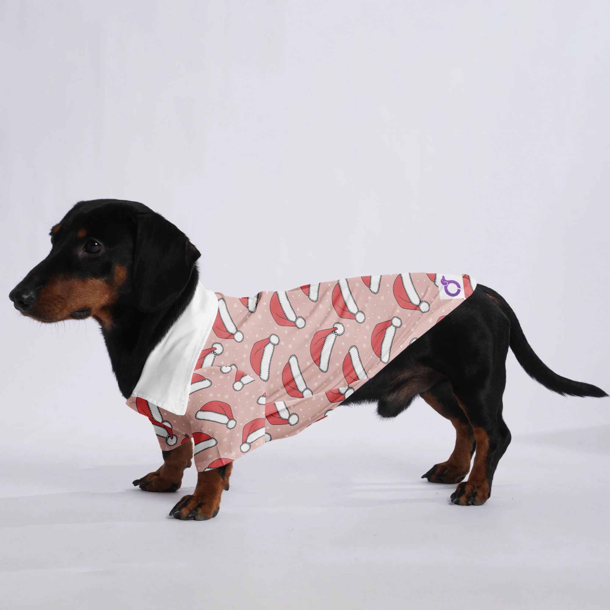 Lucy - Hawaiian Shirt for Doxies