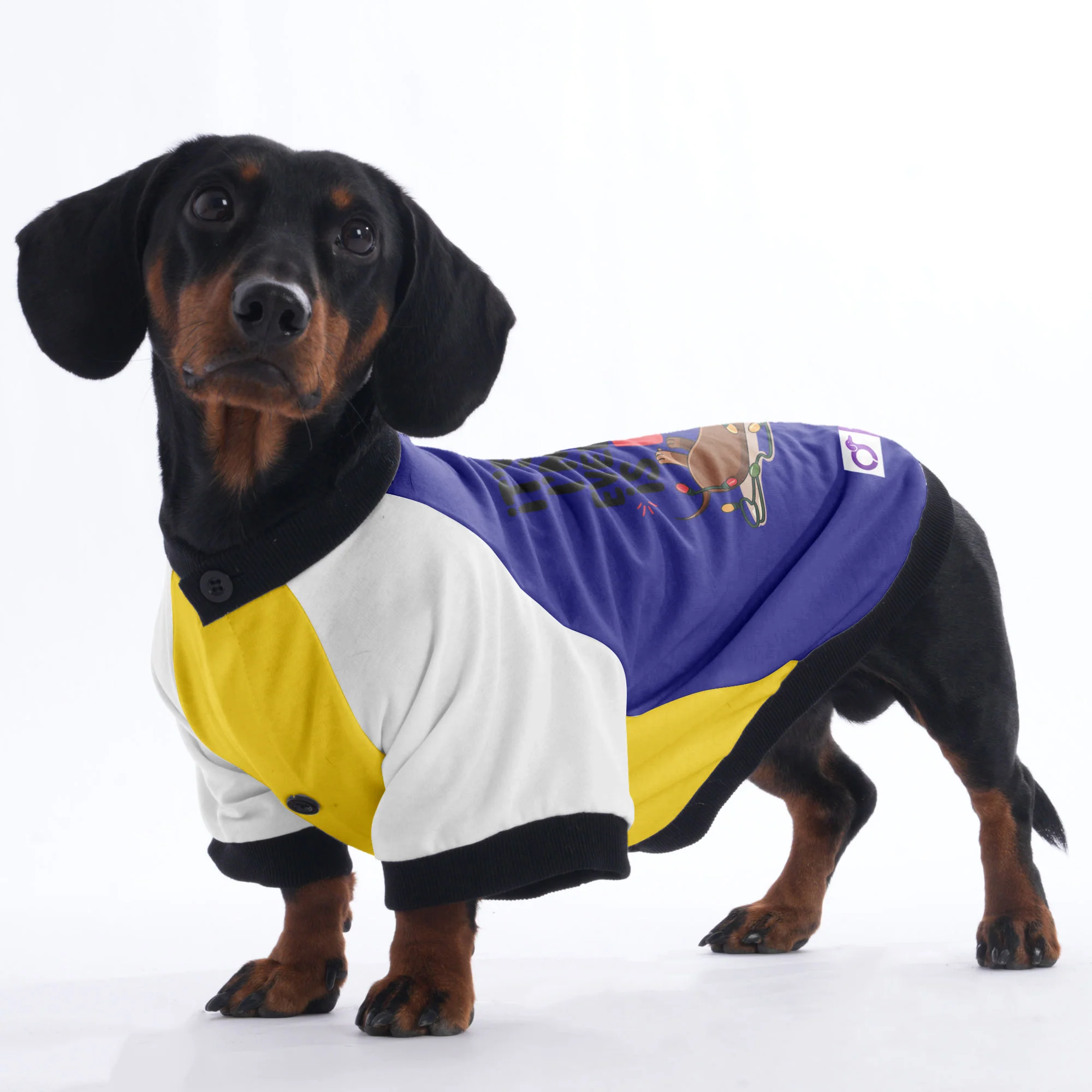 Lucy - Jacket for Dachshunds - Image 5