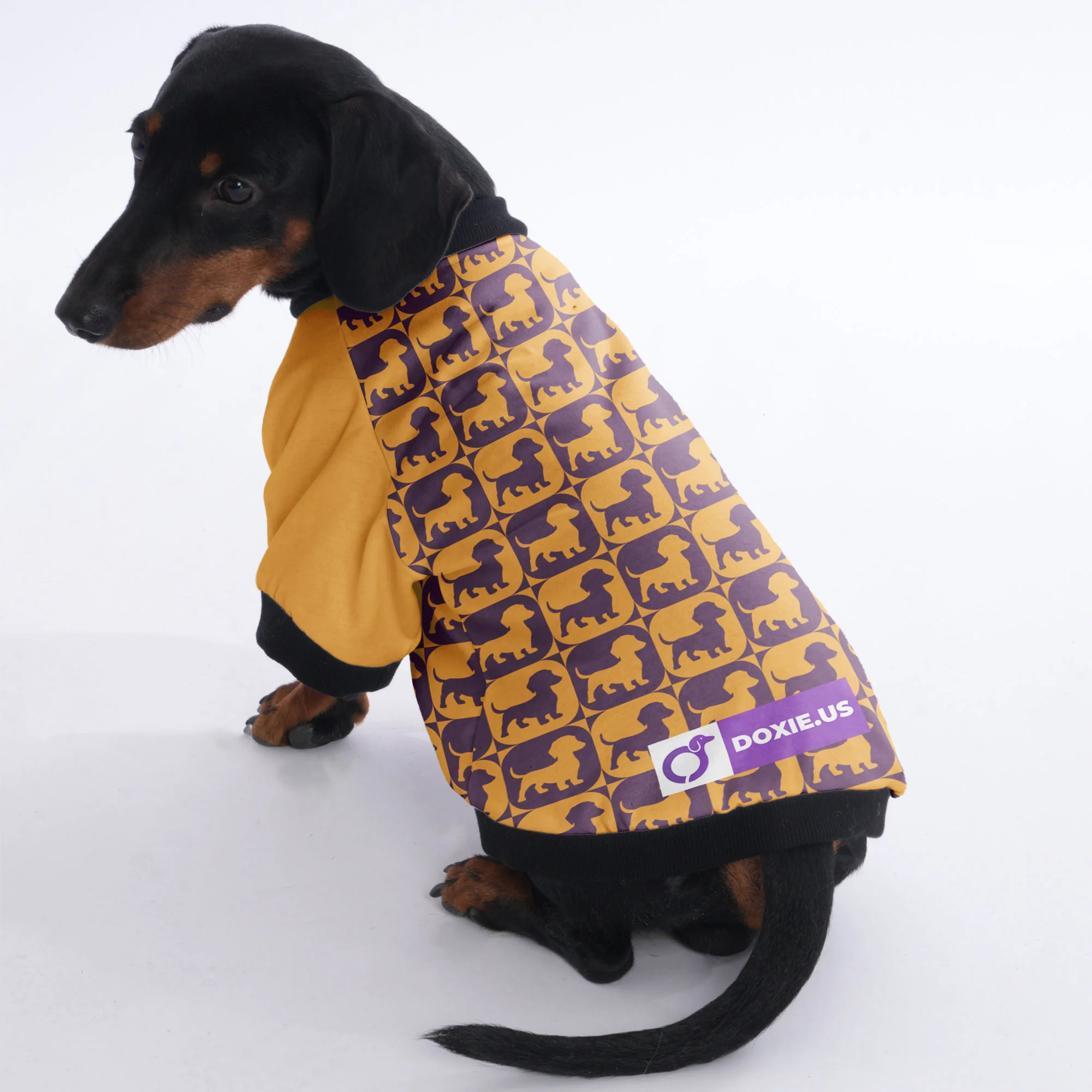 Ludwig - Jacket for Dachshunds - Image 3
