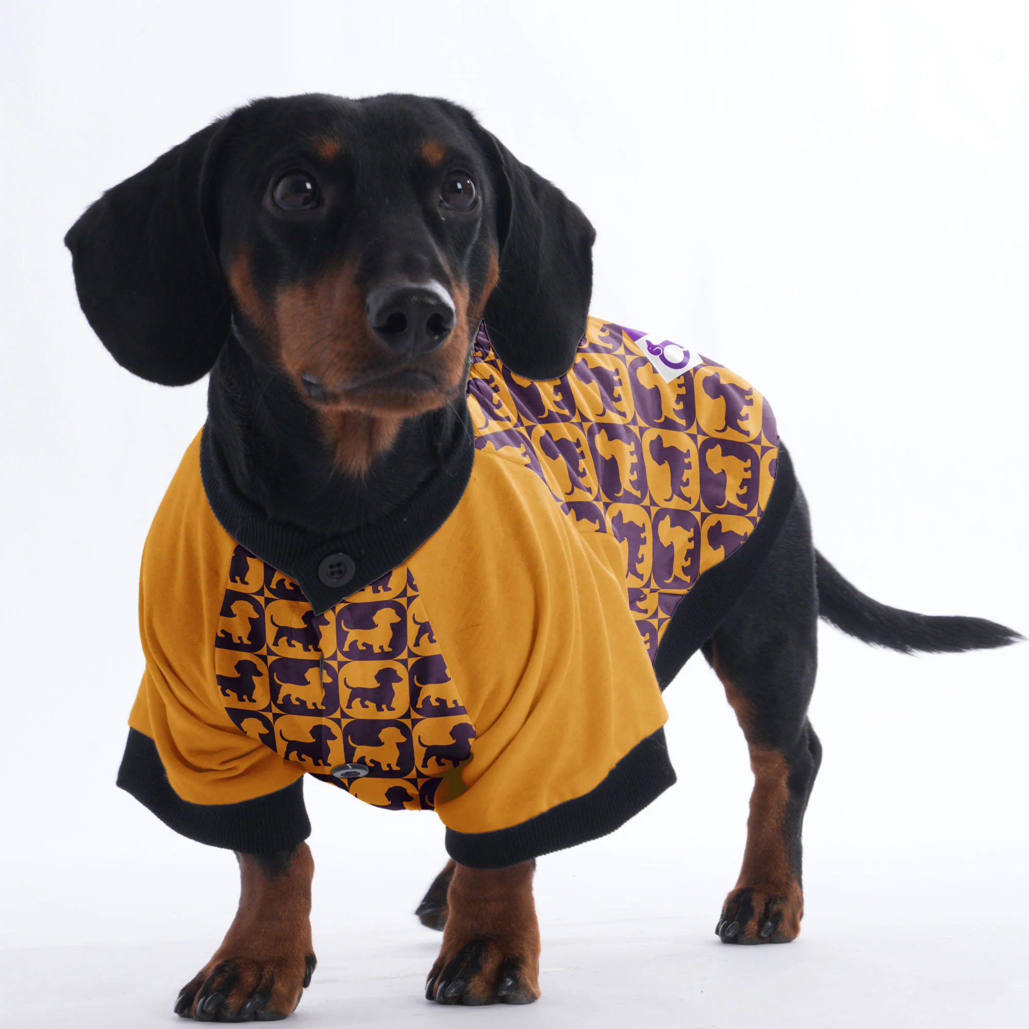 Ludwig - Jacket for Dachshunds - Image 4