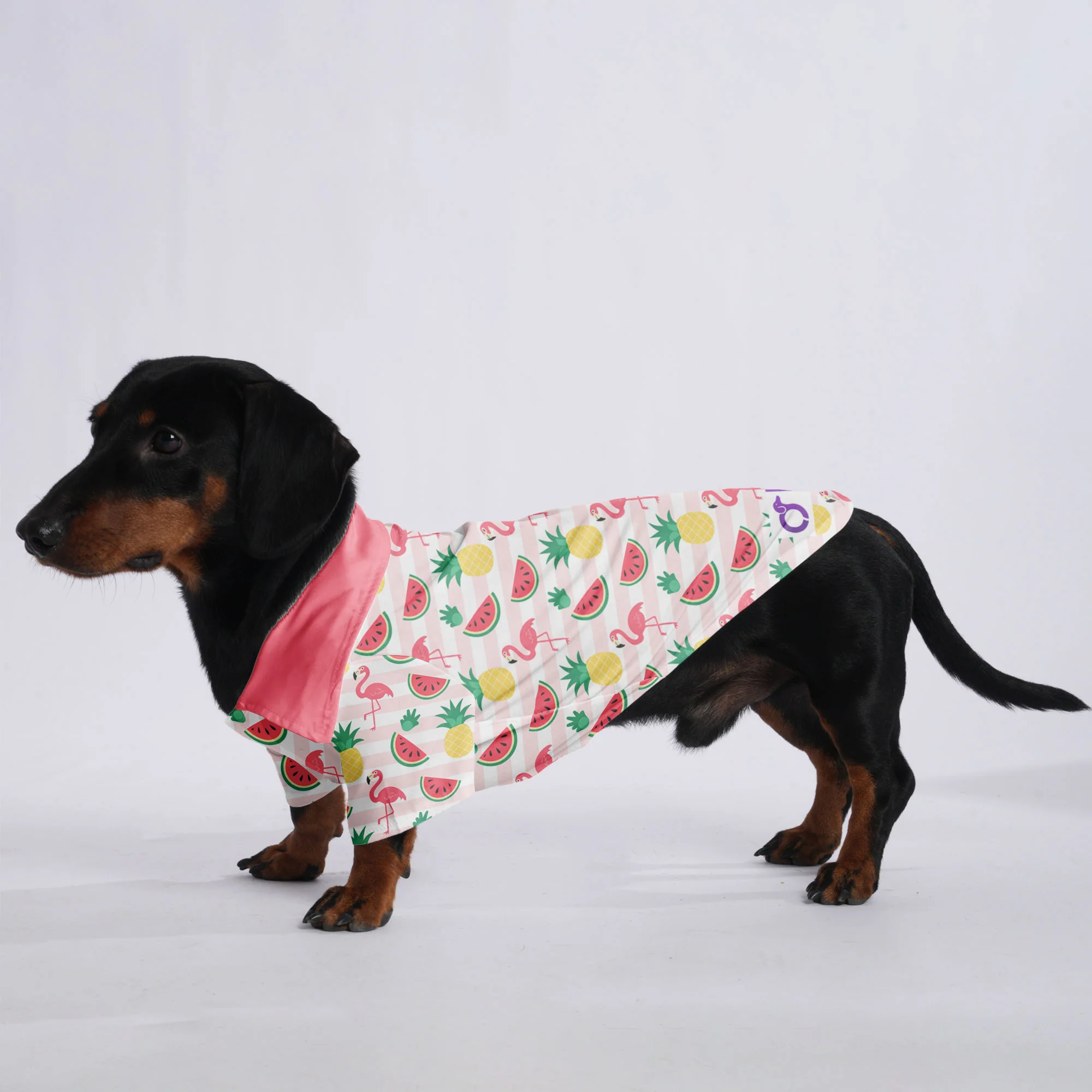 Lulu - Hawaiian Shirt for Doxies - Image 2
