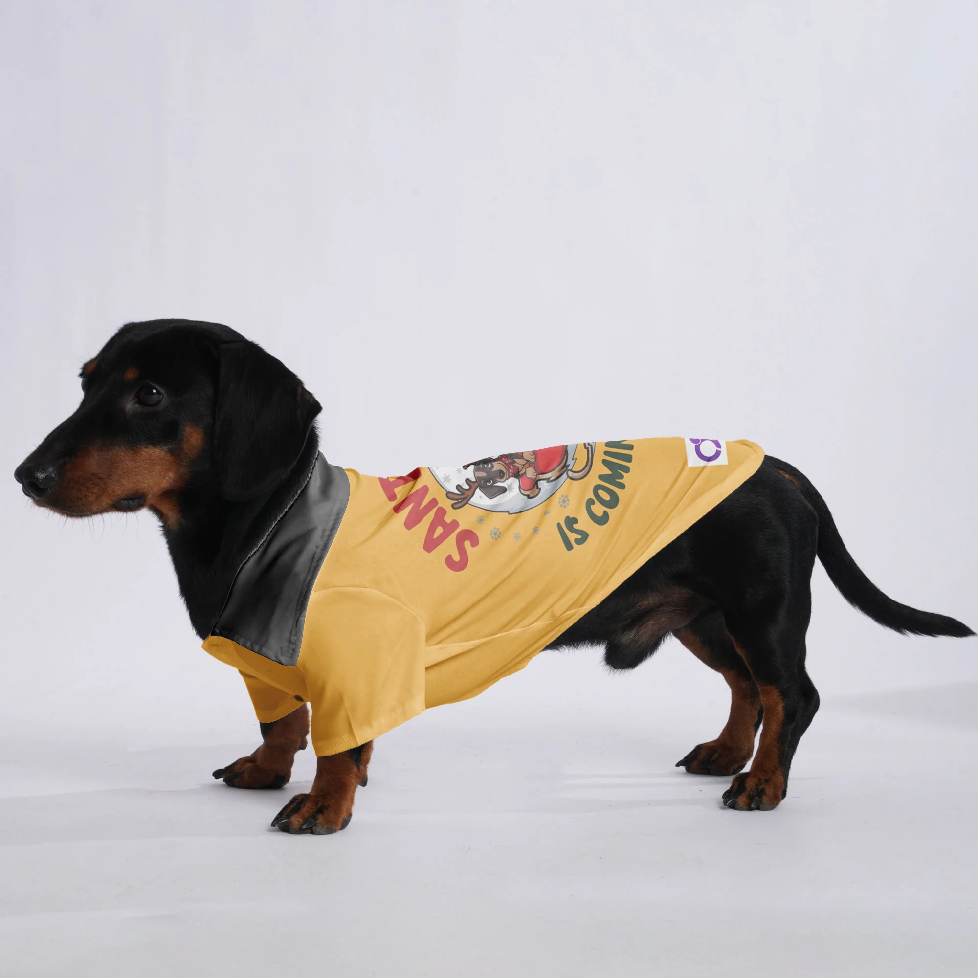 Santa Paws is coming to town - Hawaiian Shirt for Doxies - Image 2
