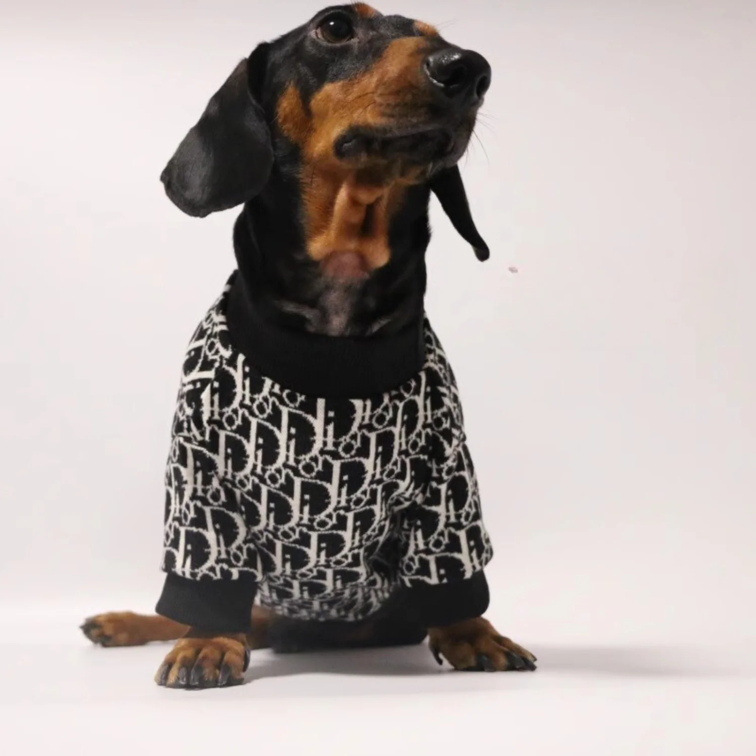 Luxurious Dachshund Knitted Sweater - Image 3