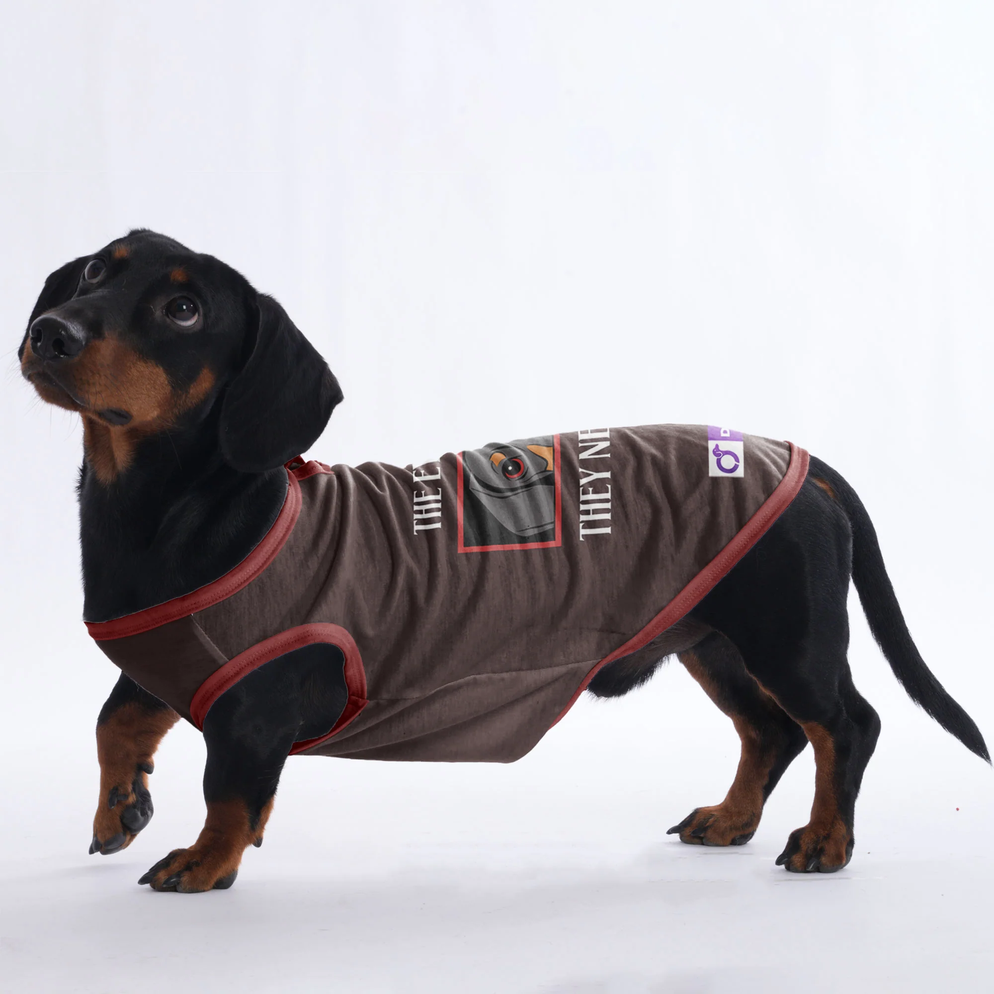 Maggie - Shirt for Dachshunds - Image 3