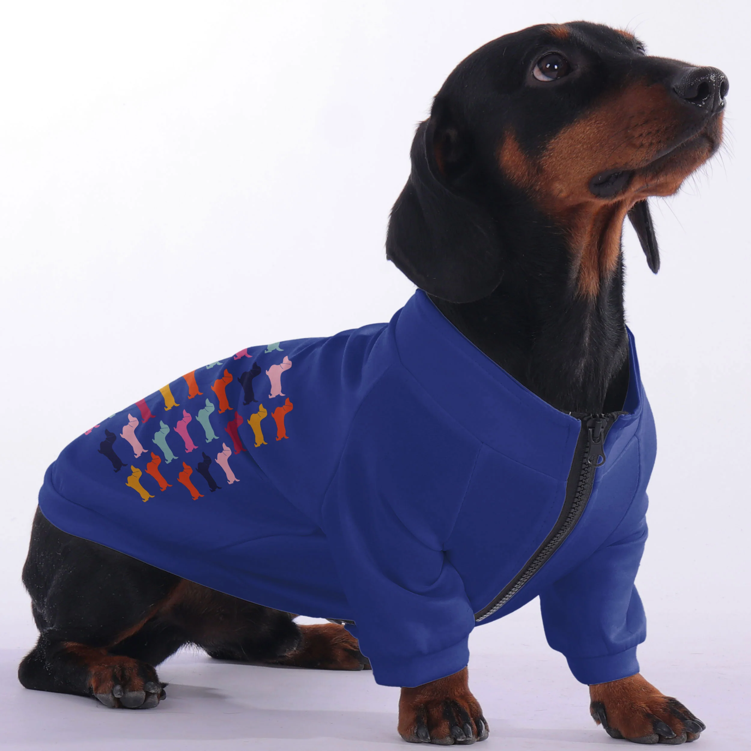 Maple - zip-up hooded sweatshirt for dachshund - Image 2