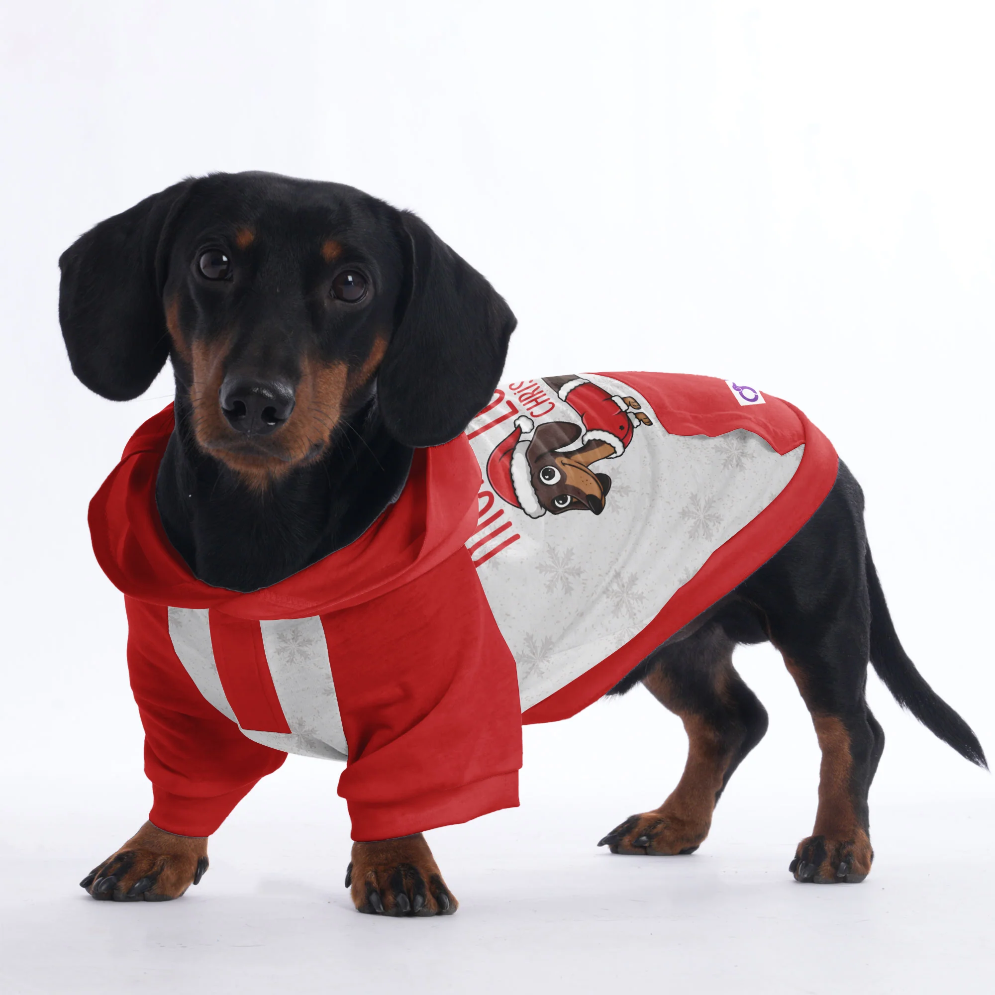 Merry and long christmas - Hoodies for Dachshunds - Image 4