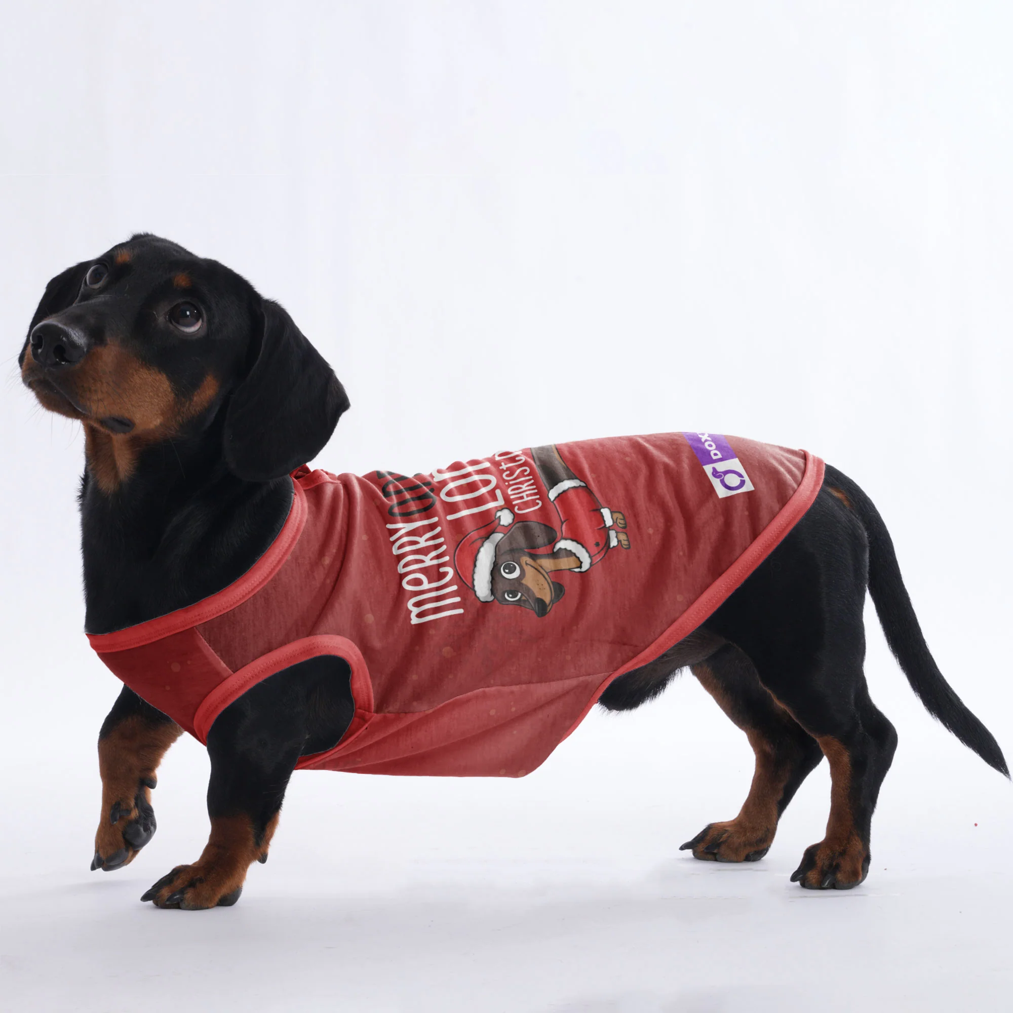 Merry and Long christmas - Shirt for Dachshunds - Image 2