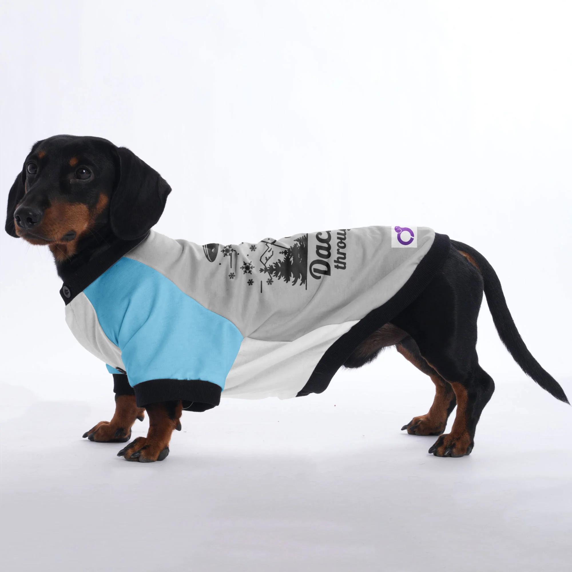 Milo - Jacket for Dachshunds - Image 4