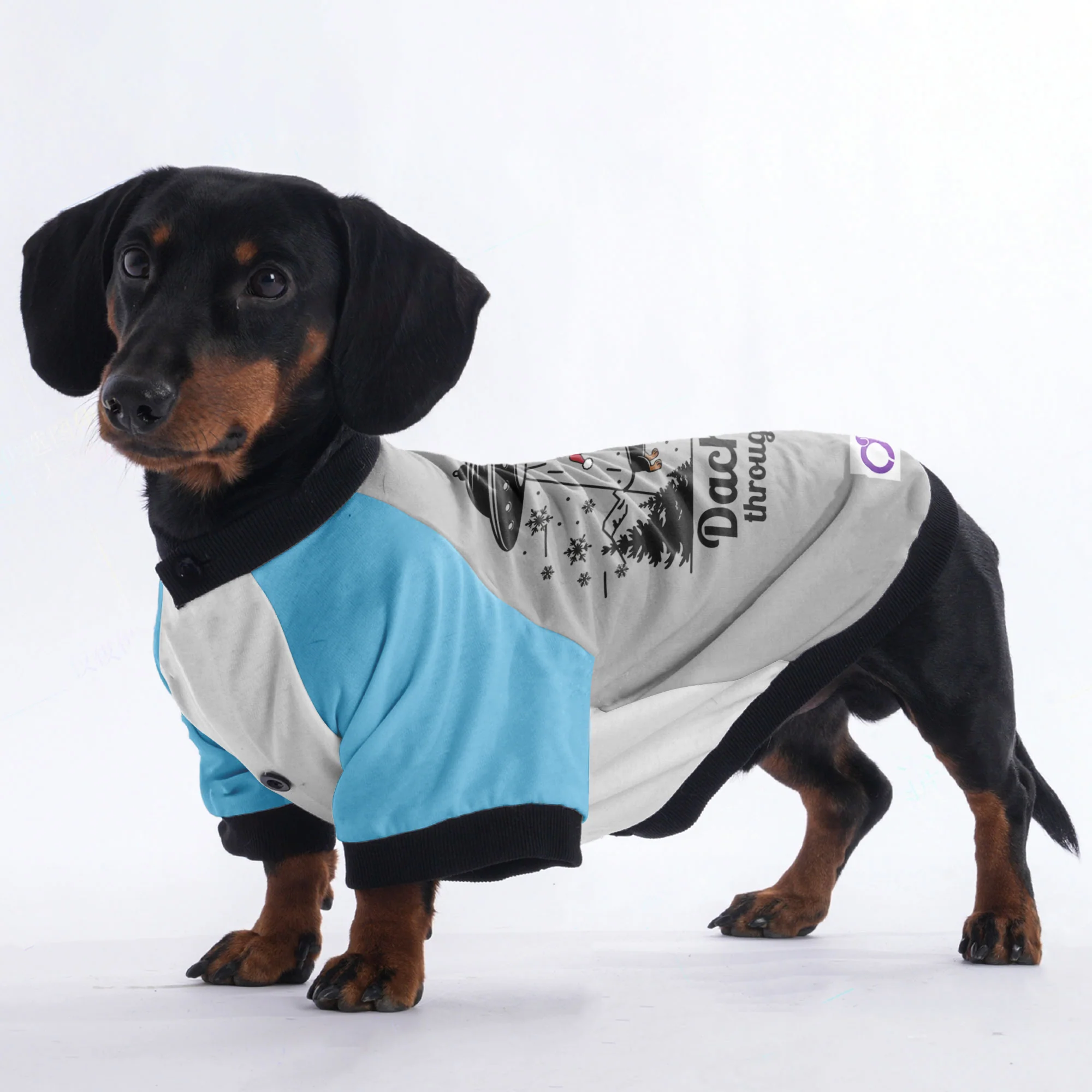 Milo - Jacket for Dachshunds - Image 5