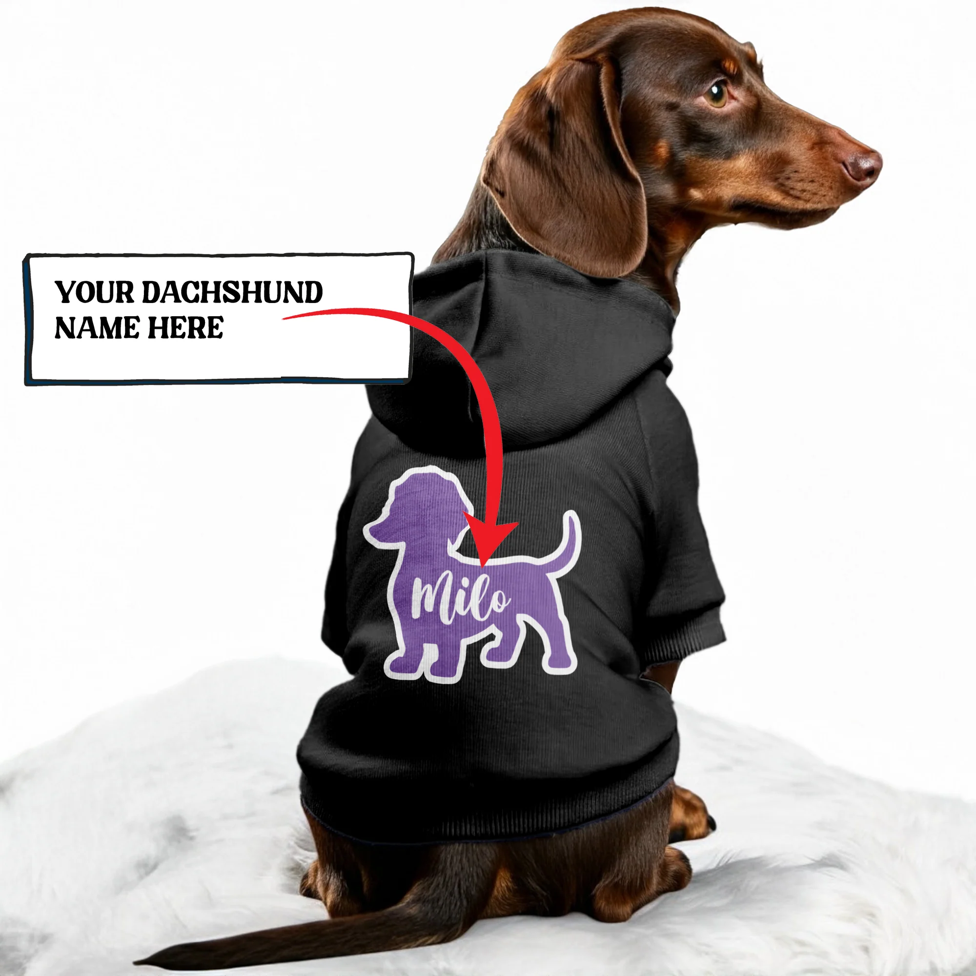 Milo - Personalized Dachshund Hoodies with your doxie name – Stylish, Cozy, and Premium 100% Cotton - Image 2