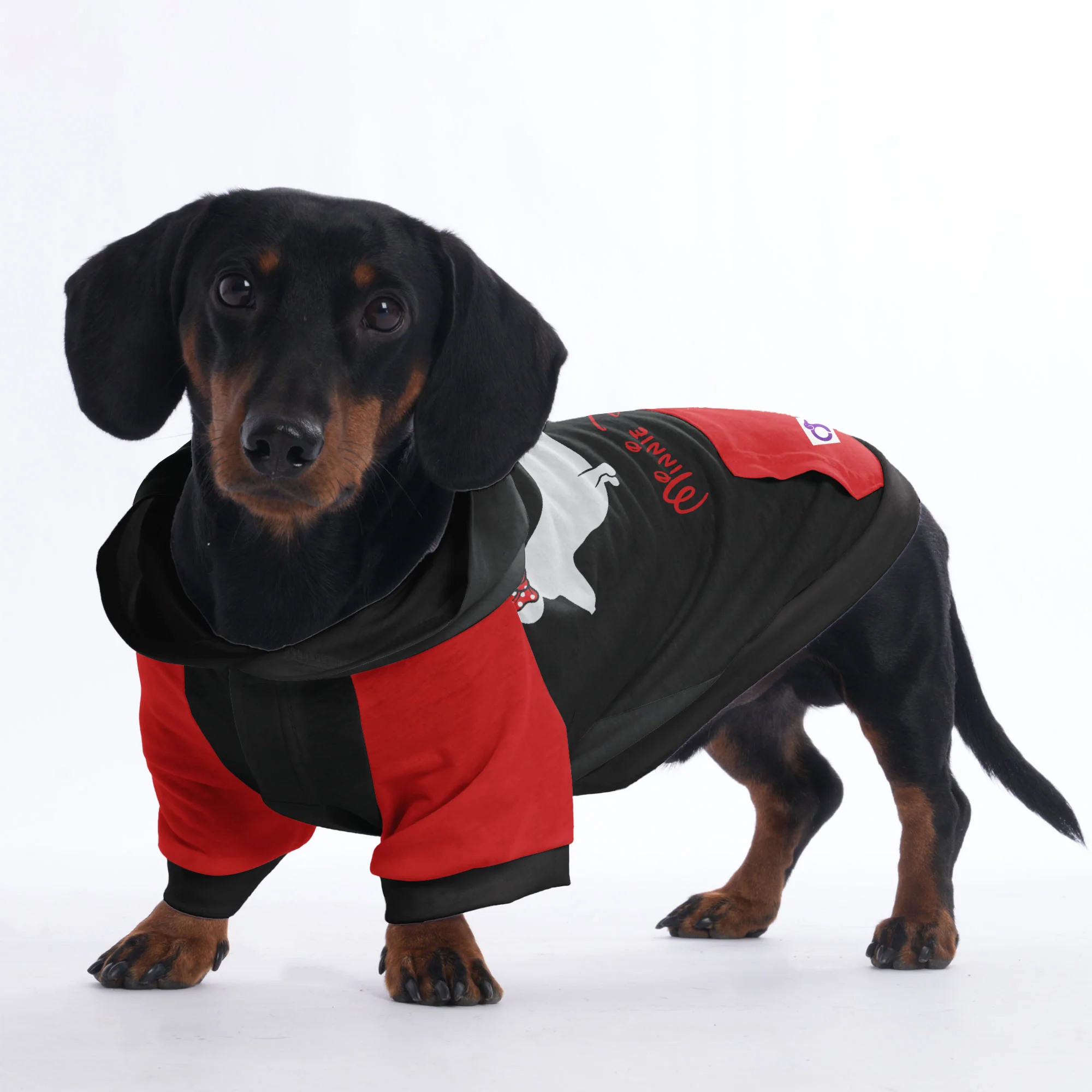 Minnie Doxie - Hoodies for Dachshunds - Image 3