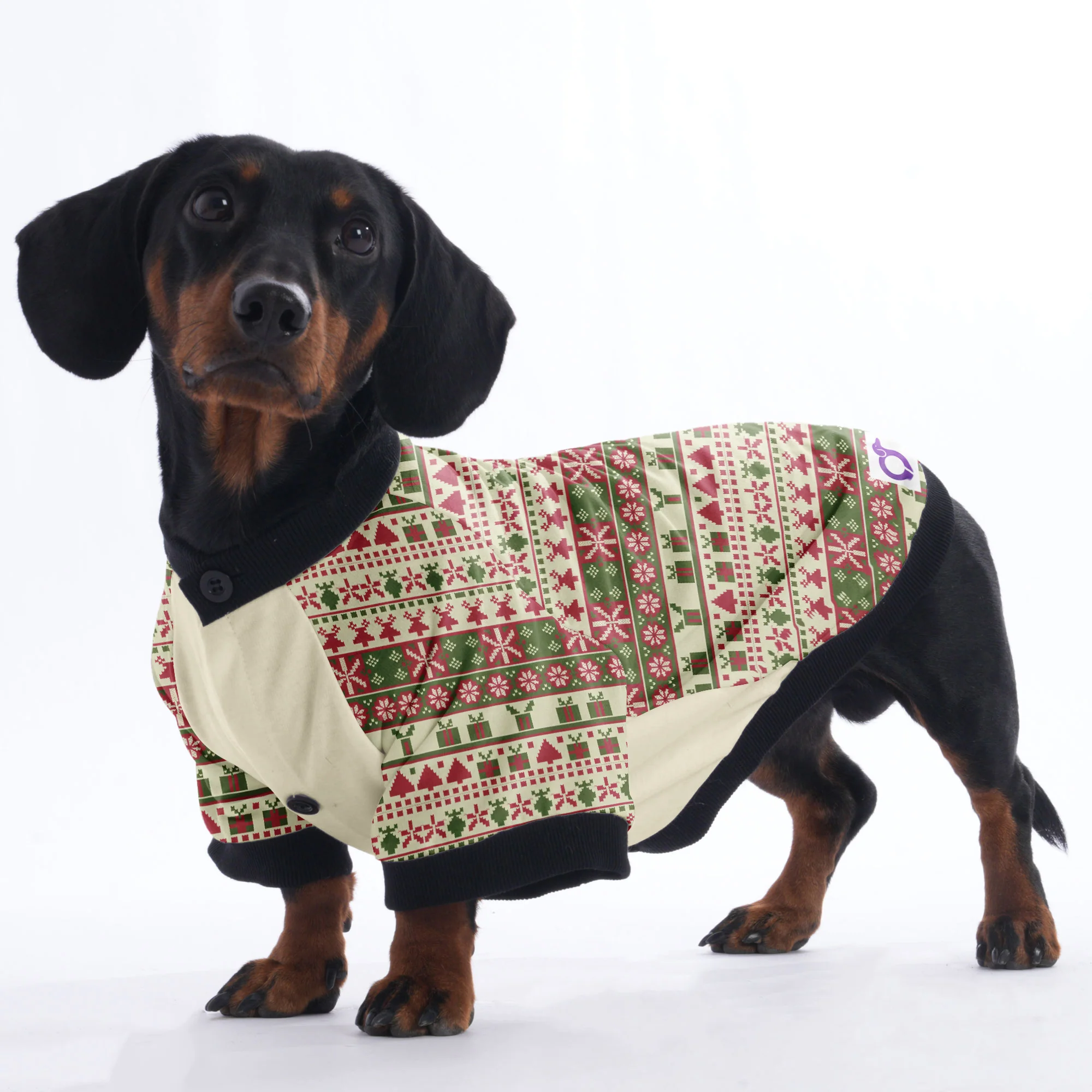 Molly - Jacket for Dachshunds - Image 3