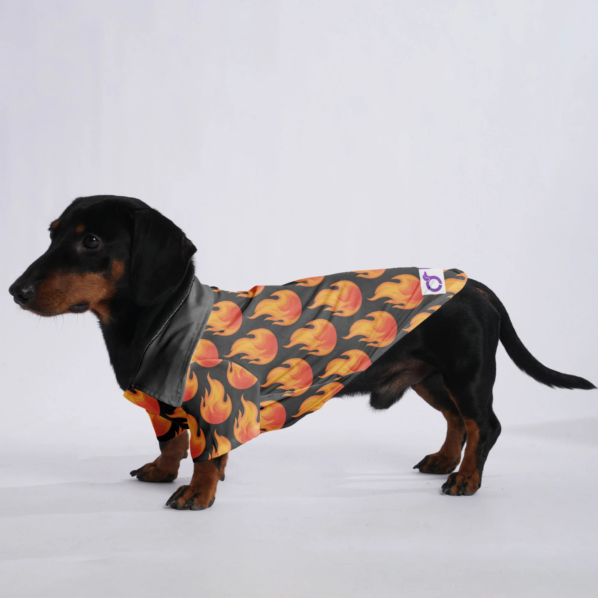 Nala - Hawaiian Shirt for Doxies - Image 2