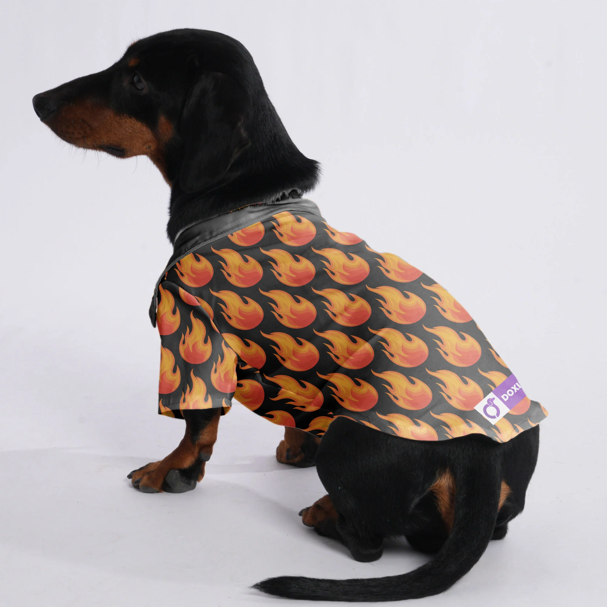 Nala - Hawaiian Shirt for Doxies - Image 3