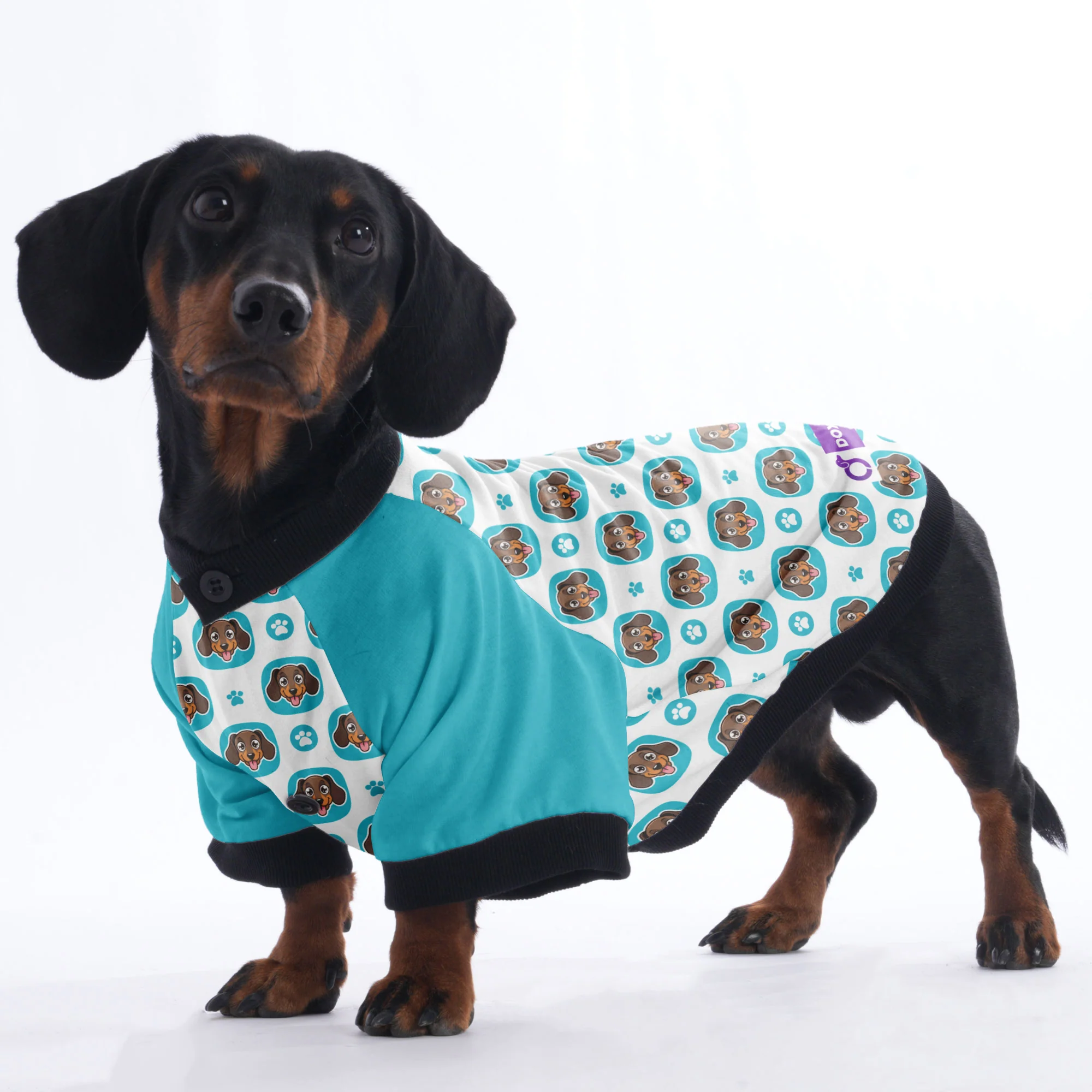 Nelly - Jacket for Dachshunds - Image 2