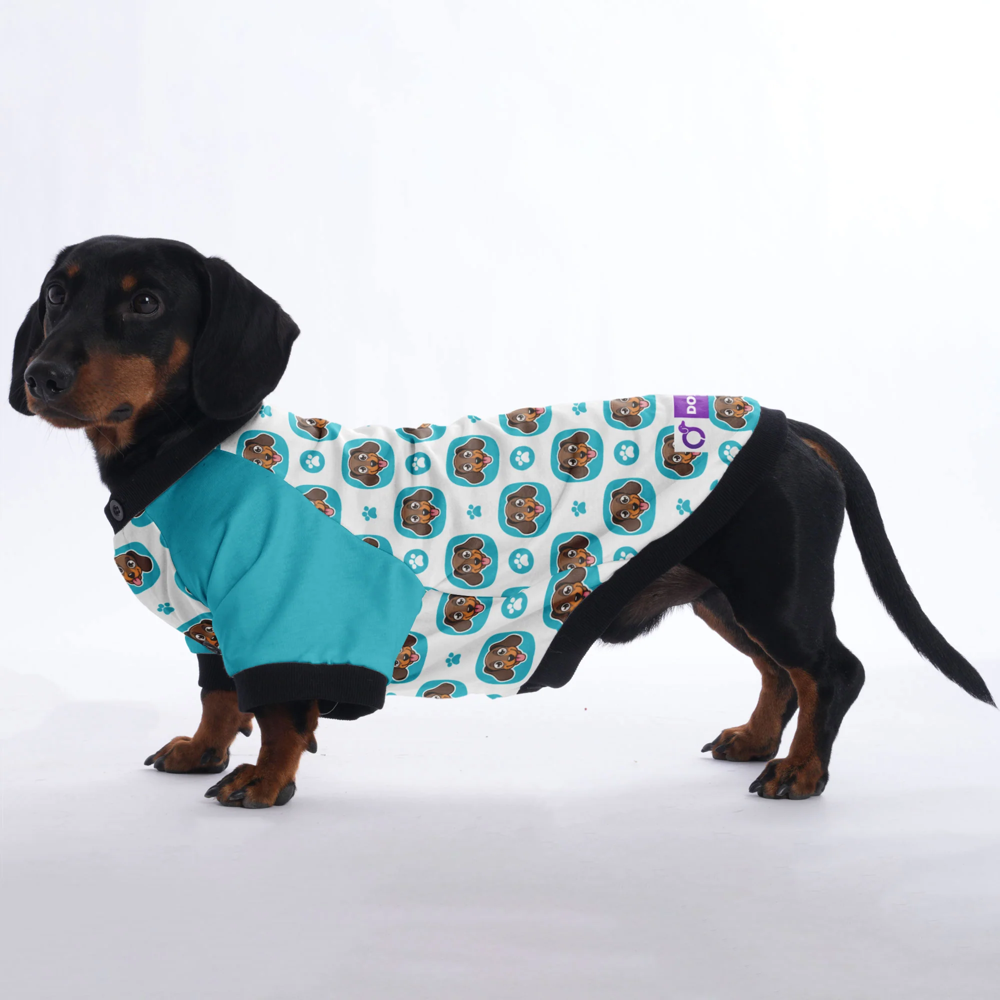 Nelly - Jacket for Dachshunds - Image 4