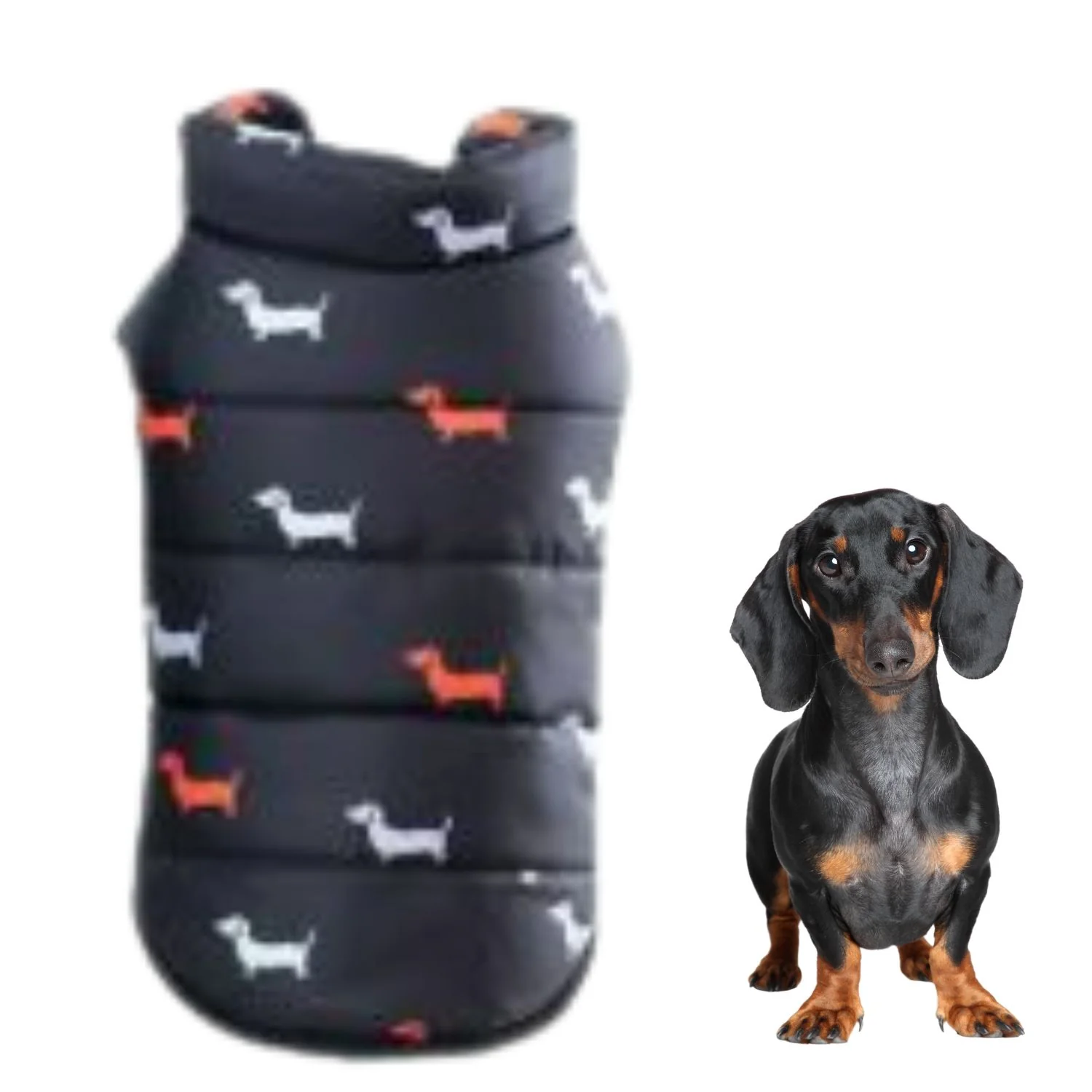 NexaLeaf Warm Puffer Jacket for Dachshunds - Image 3