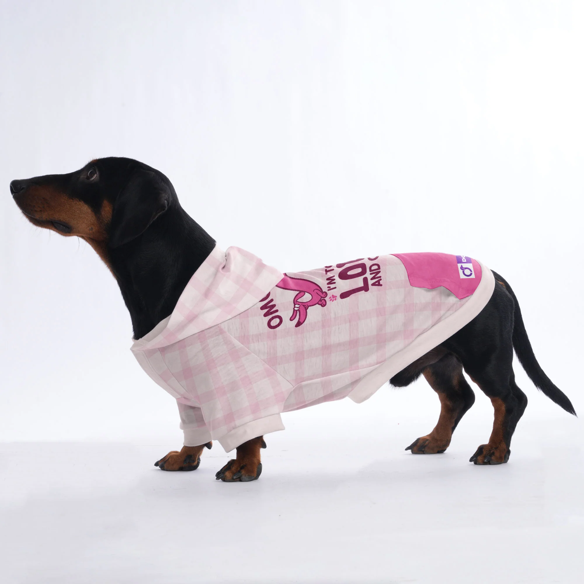 OMG , IM TOO LONG AND CUTE - Hoodies for Dachshunds - Image 2