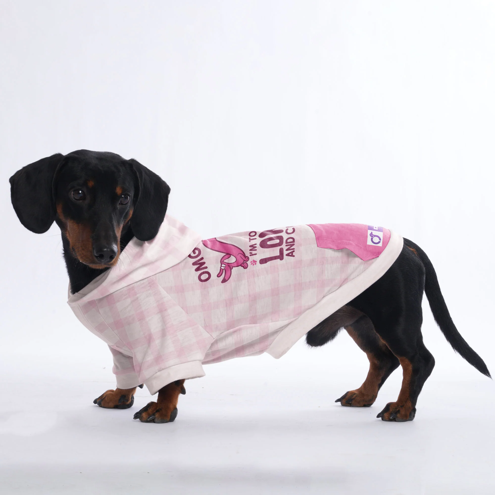 OMG , IM TOO LONG AND CUTE - Hoodies for Dachshunds - Image 3