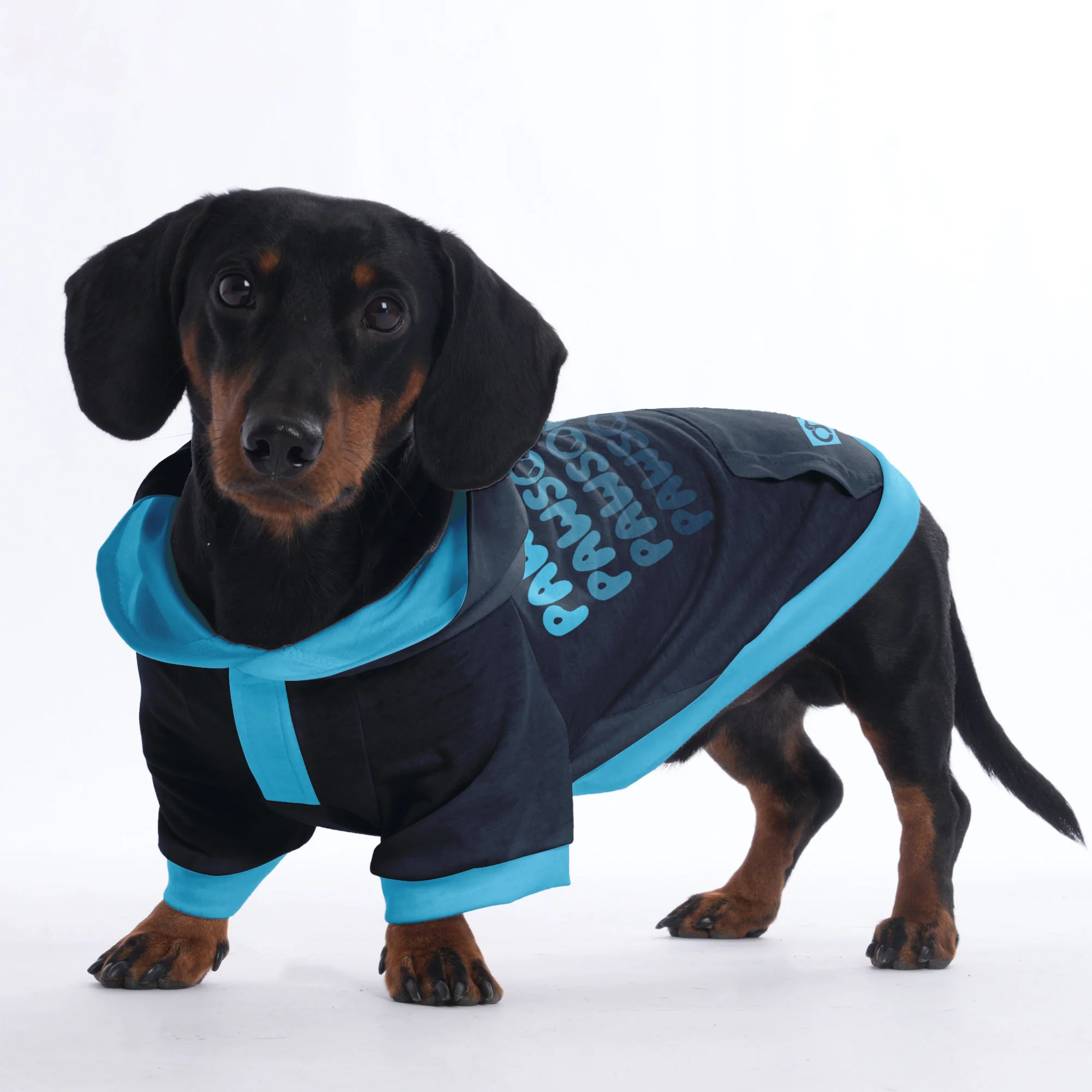 Pawsome - Hoodies for Dachshunds - Image 3