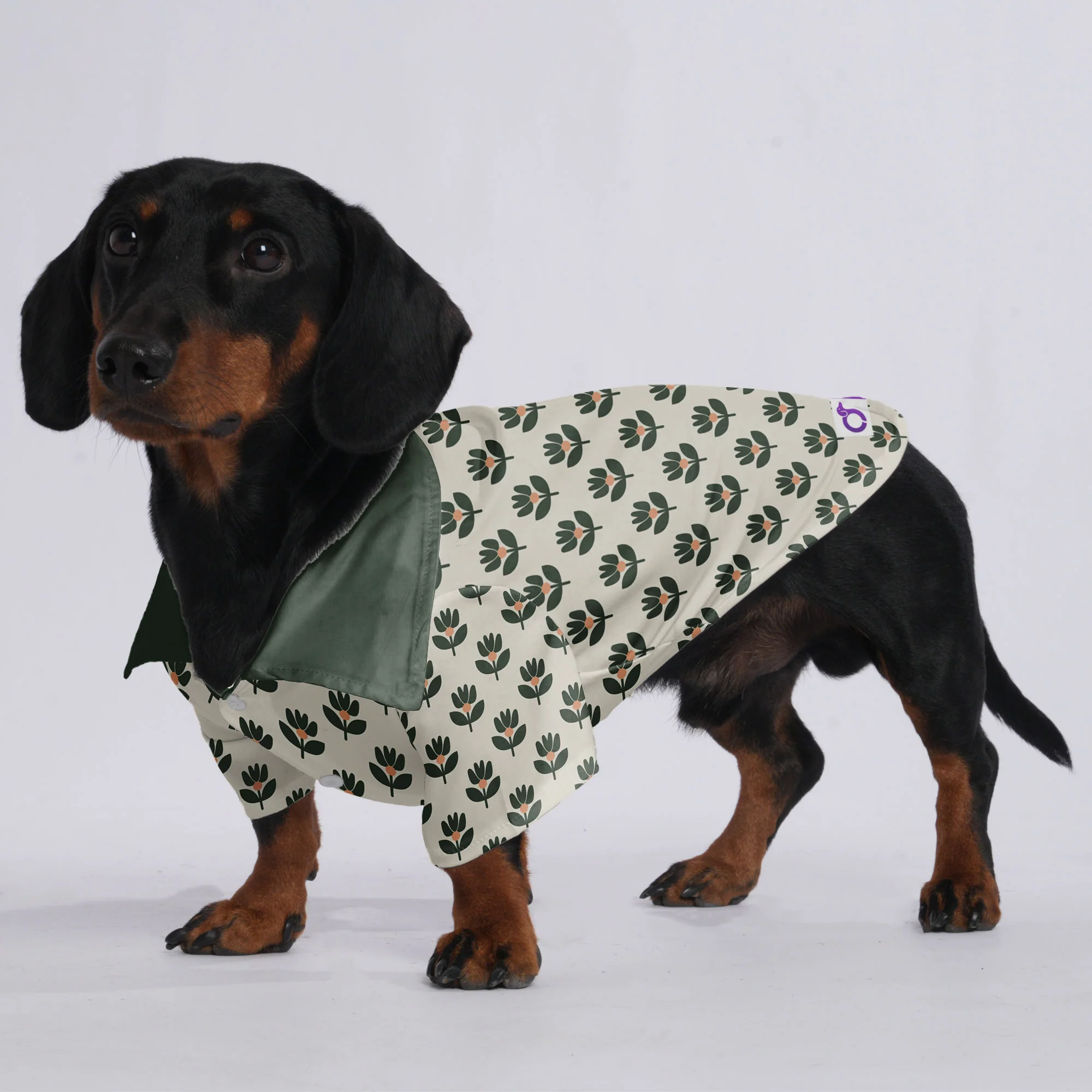Penny - Hawaiian Shirt for Doxies - Image 2