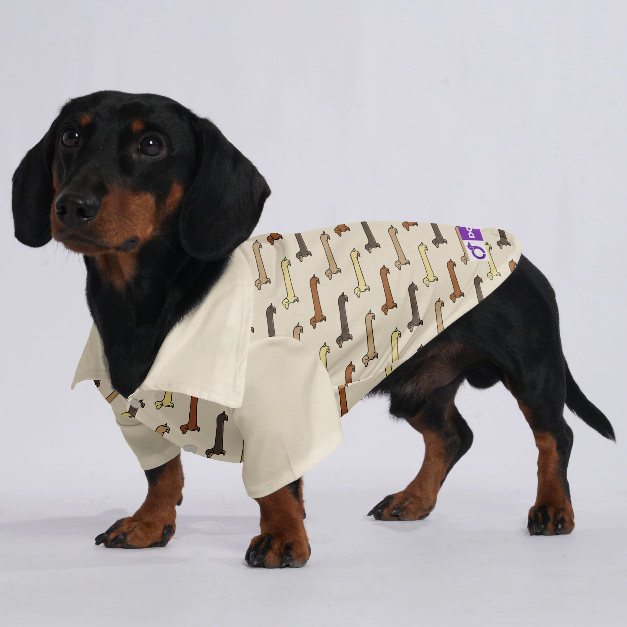 Pepper - Hawaiian Shirt for Doxies - Image 3