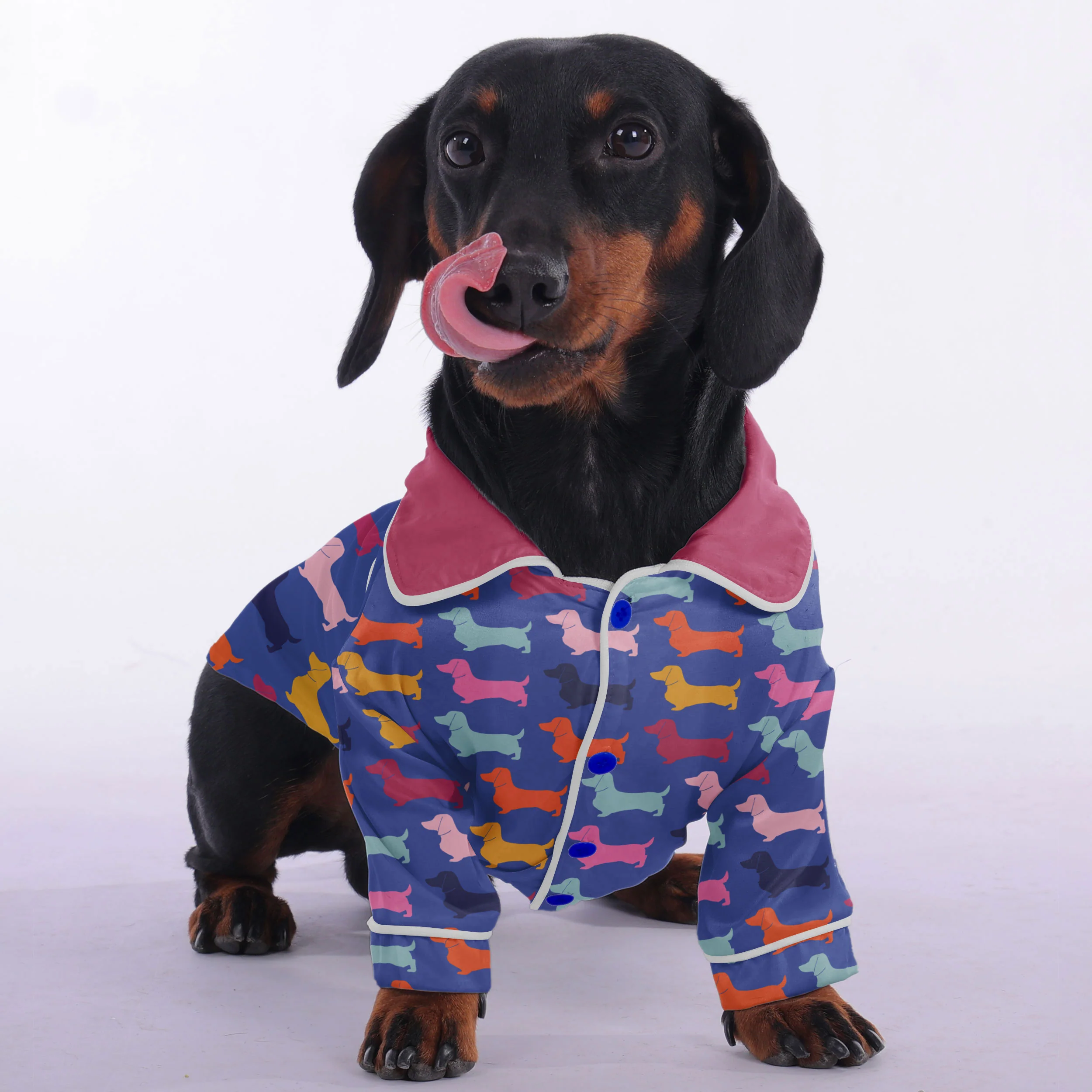 Pepper - Pajamas for Dachshund