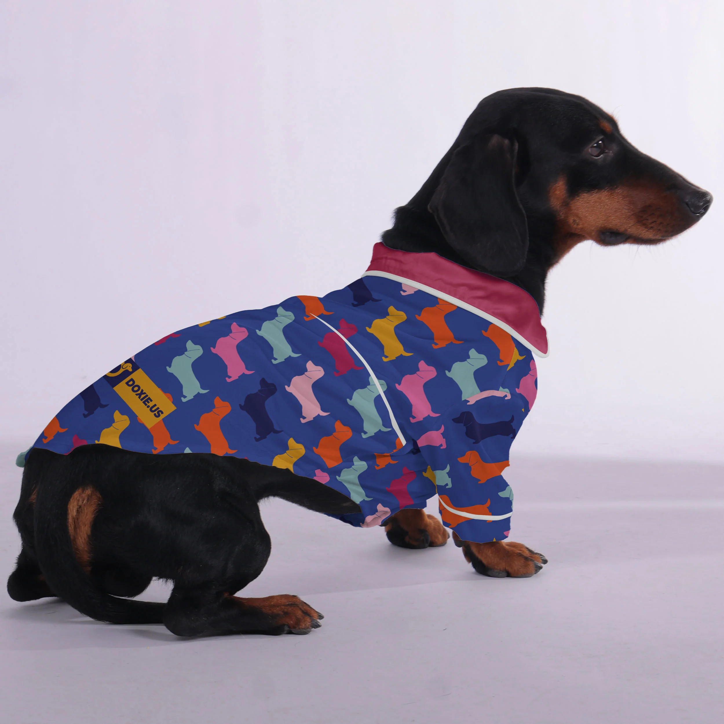Pepper - Pajamas for Dachshund - Image 2