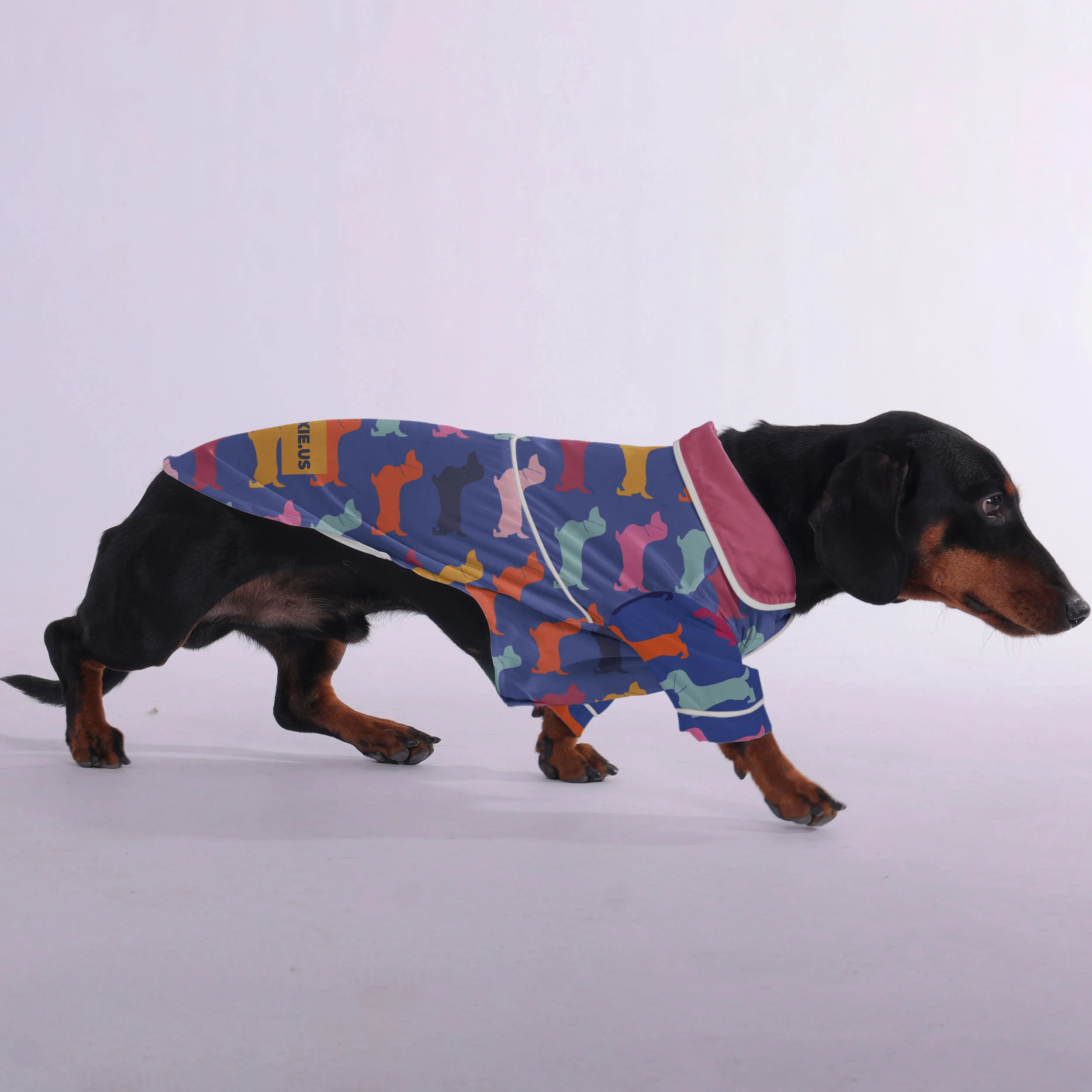Pepper - Pajamas for Dachshund - Image 3