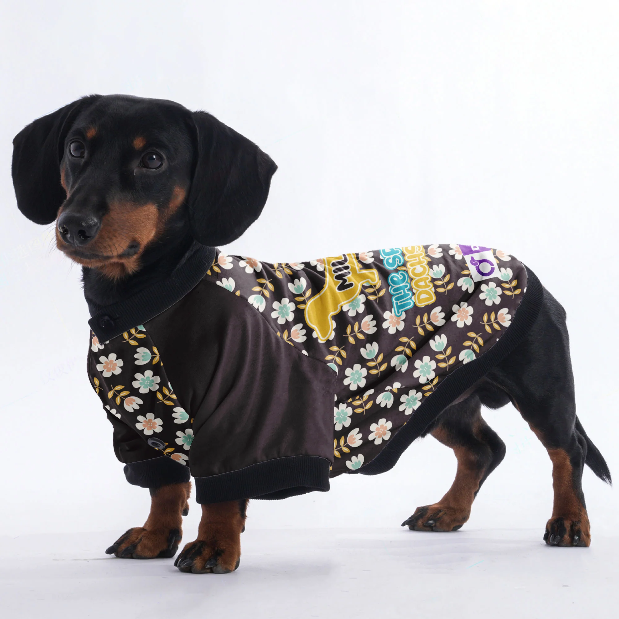 Personalized Dachshund Jacket with Your Dog's Name - Image 3