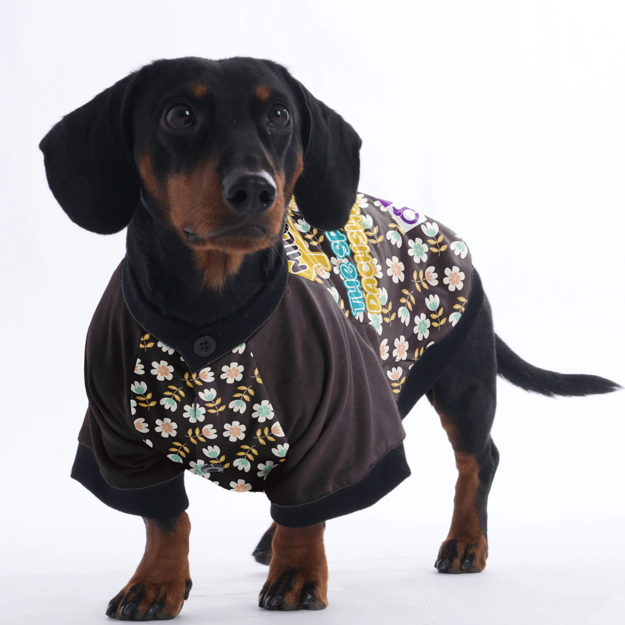 Personalized Dachshund Jacket with Your Dog's Name - Image 5