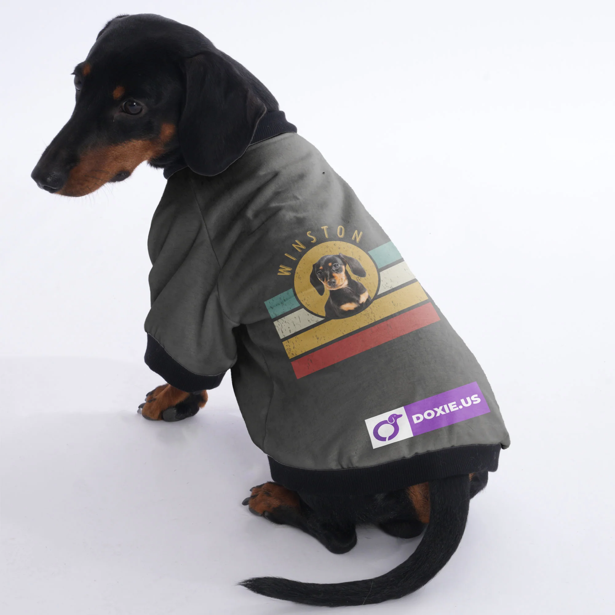 Personalized Dachshund Jacket with Your Dog's Name and Picture - Image 3