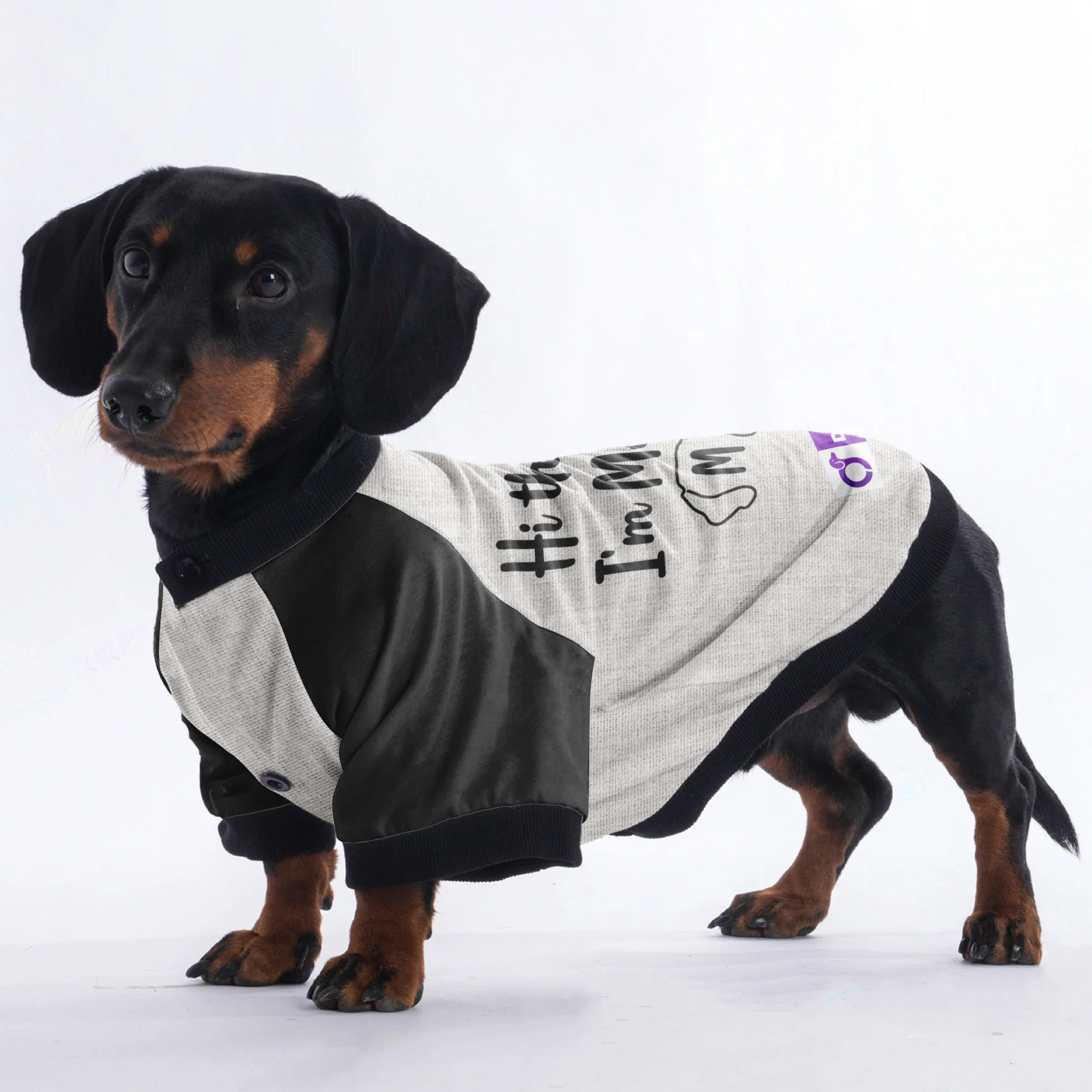 Personalized Doxie Jacket with Your Pup's Name - Image 2
