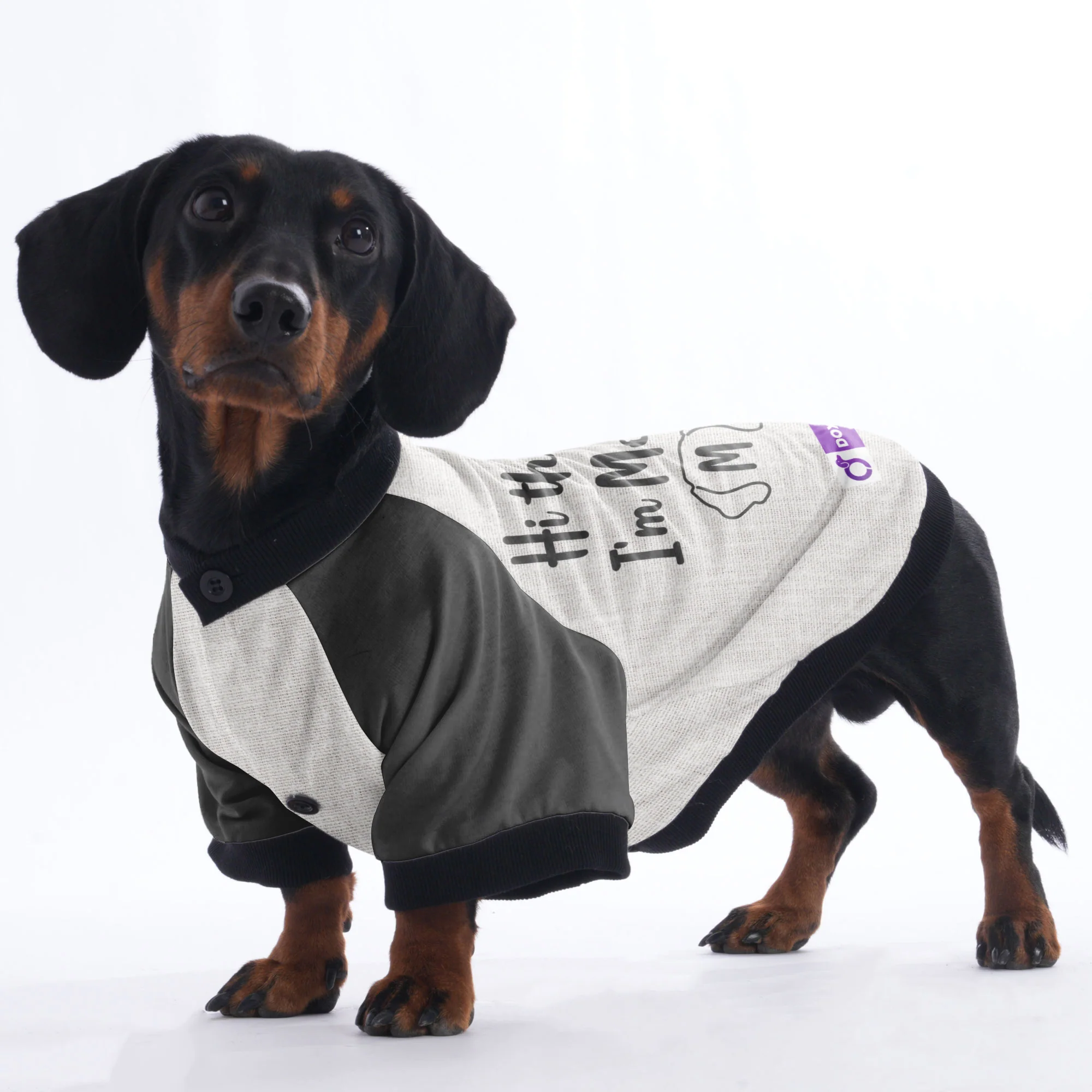 Personalized Doxie Jacket with Your Pup's Name - Image 6