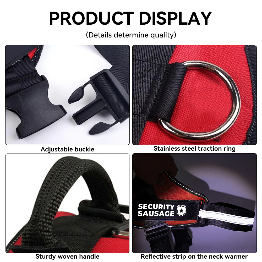 Church - Personalized Dachshund Harness - Image 6
