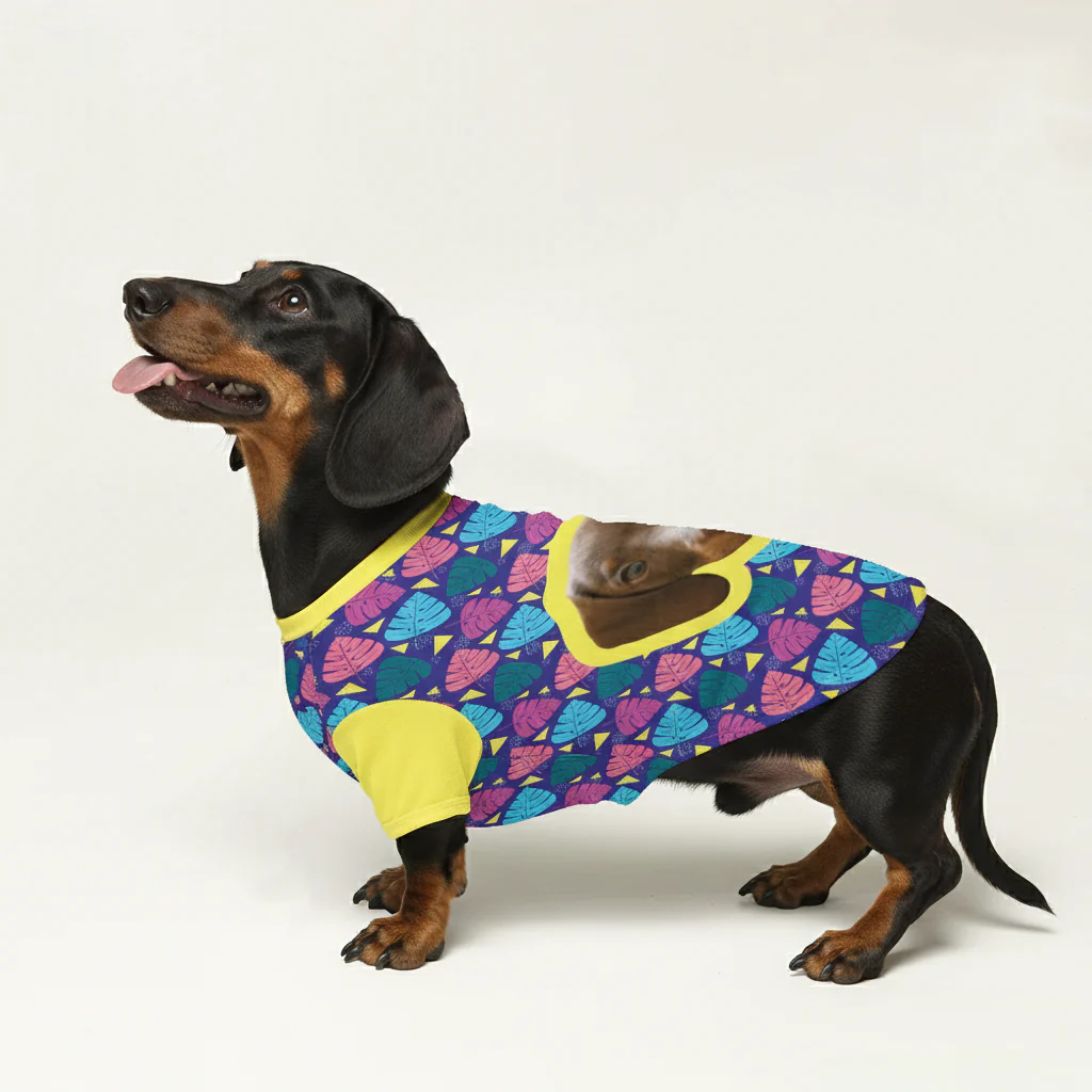Kirby - Personalized Wool Sweater for Doxie - Image 2