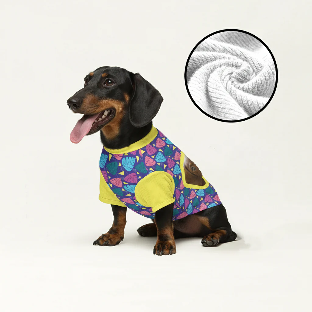 Kirby - Personalized Wool Sweater for Doxie - Image 3
