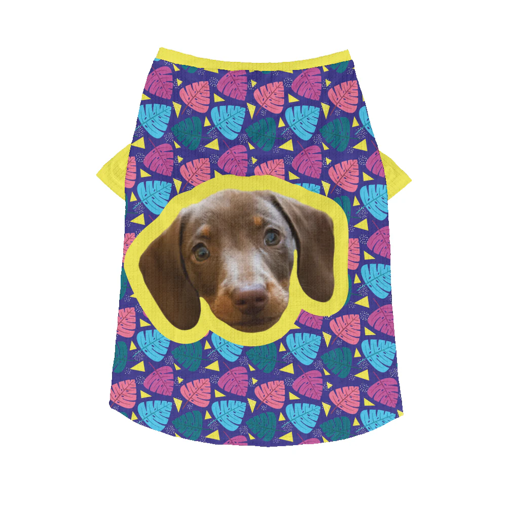 Kirby - Personalized Wool Sweater for Doxie - Image 5
